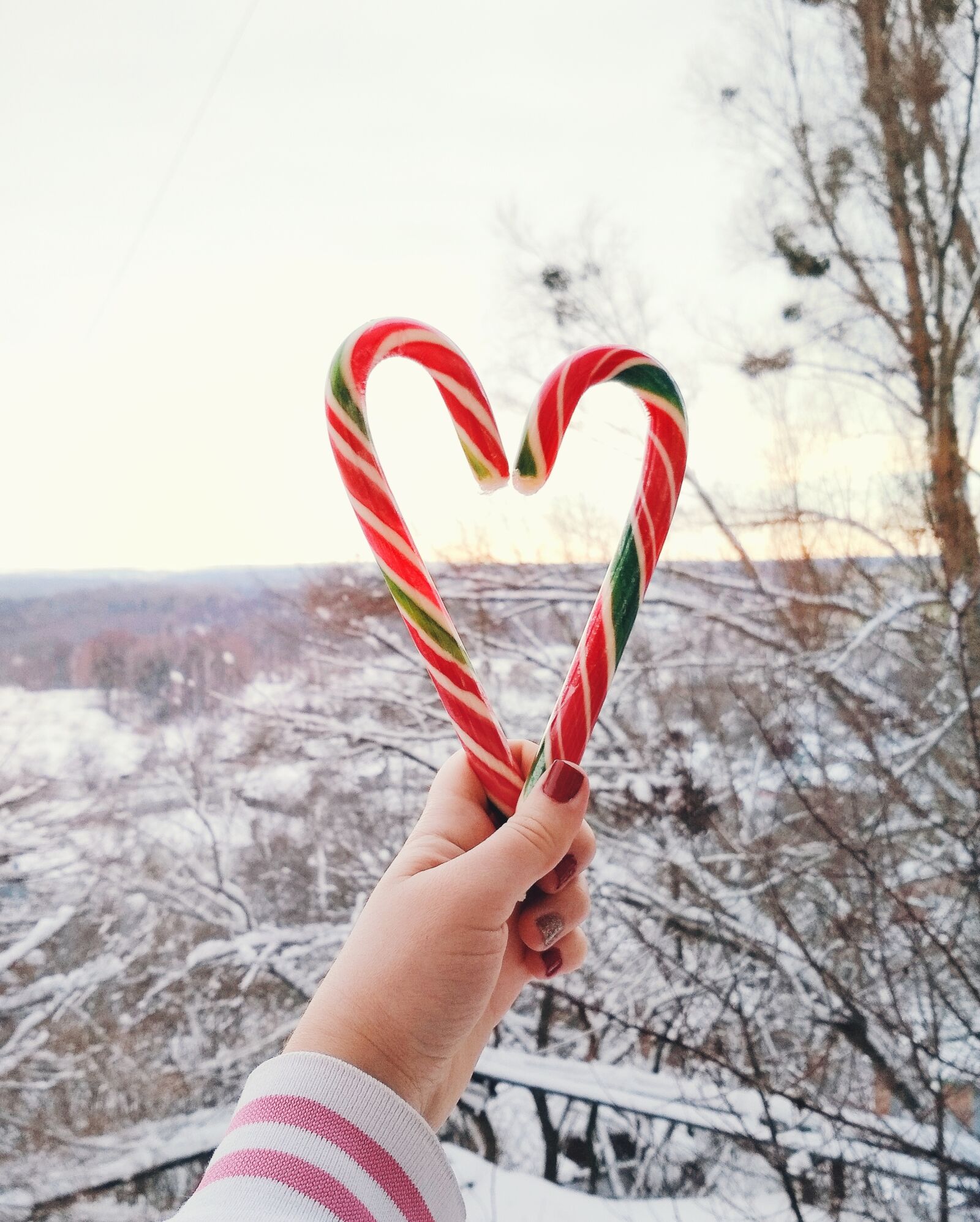 Xiaomi Redmi 4X sample photo. Nature, candy, new year's photography