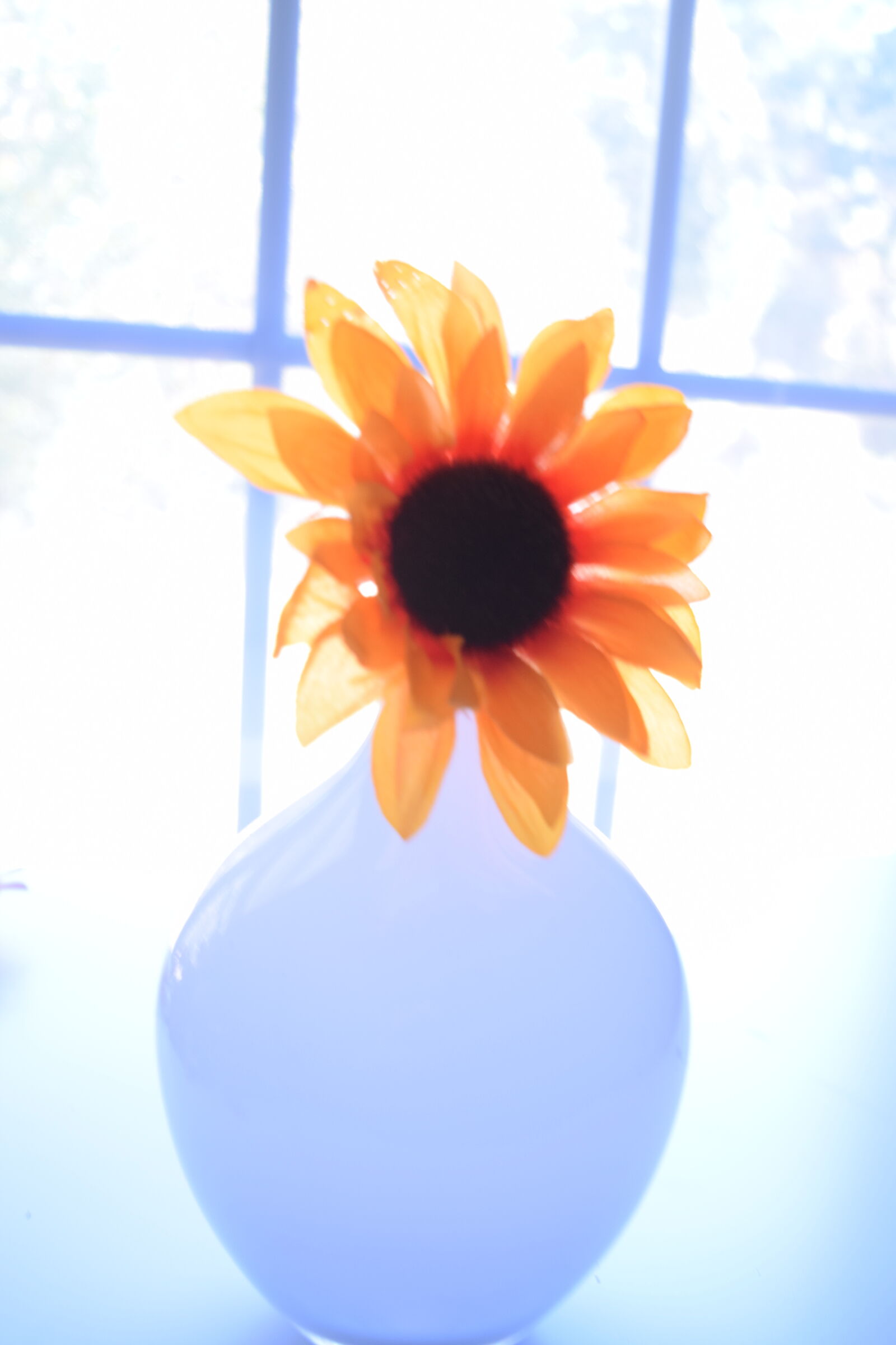 Nikon D3300 sample photo. Artificial, flowers, flowers, orange photography