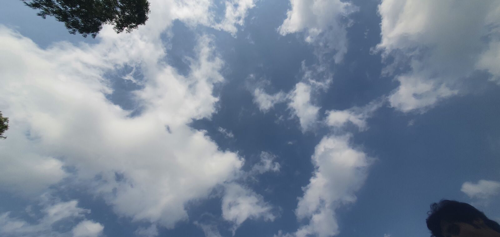 Samsung Galaxy S10 sample photo. Nature, sky, blue sky photography