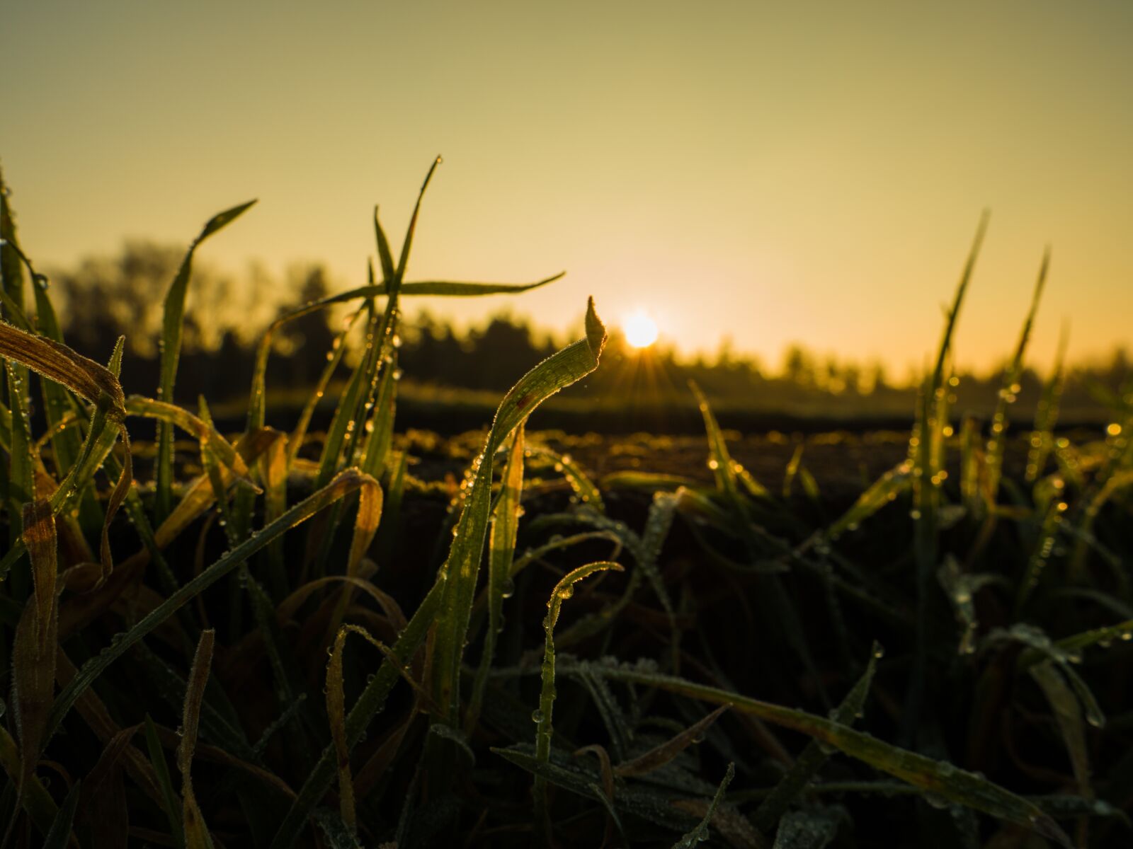 LEICA DG 12-60/F2.8-4.0 sample photo. Sunrise, winter, landscape photography