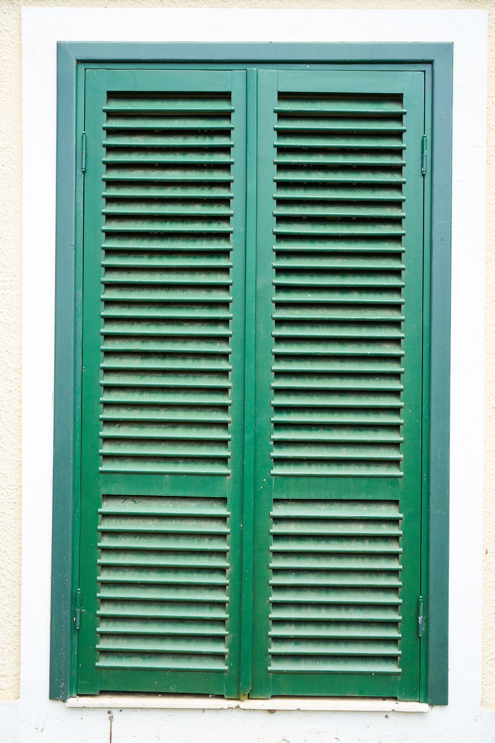 Sony a7R II sample photo. Window, wood-fibre boards, door photography