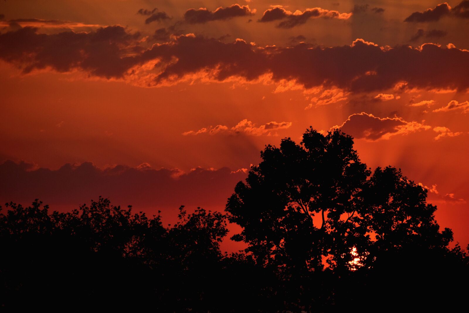 Nikon D3500 sample photo. Sunset, silhouette, skyscape photography