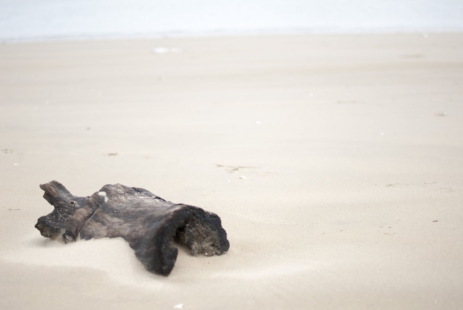 Nikon D200 sample photo. Sand, sea, nature photography