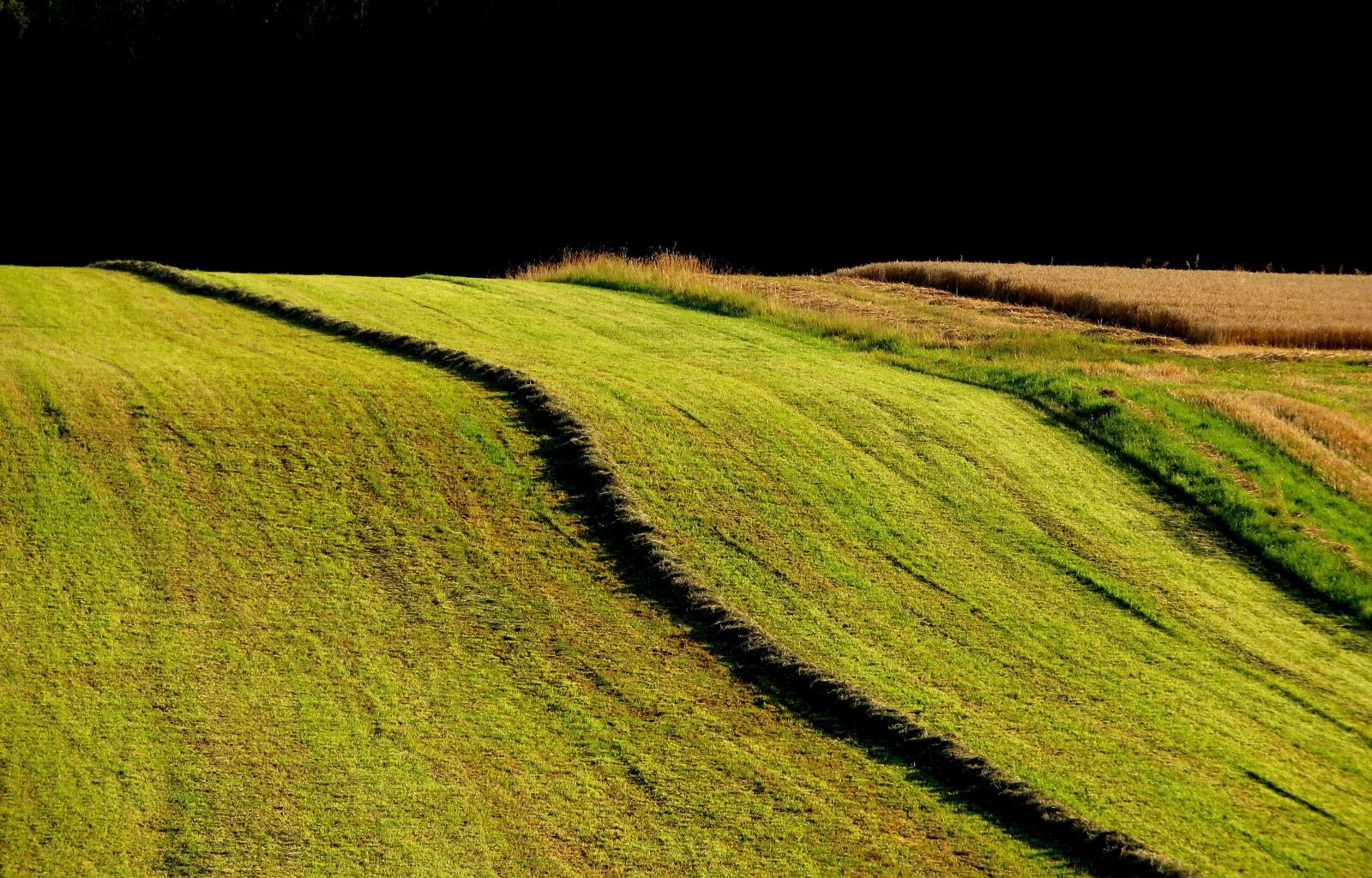 Canon PowerShot SX280 HS sample photo. Meadow, austria, landscape photography