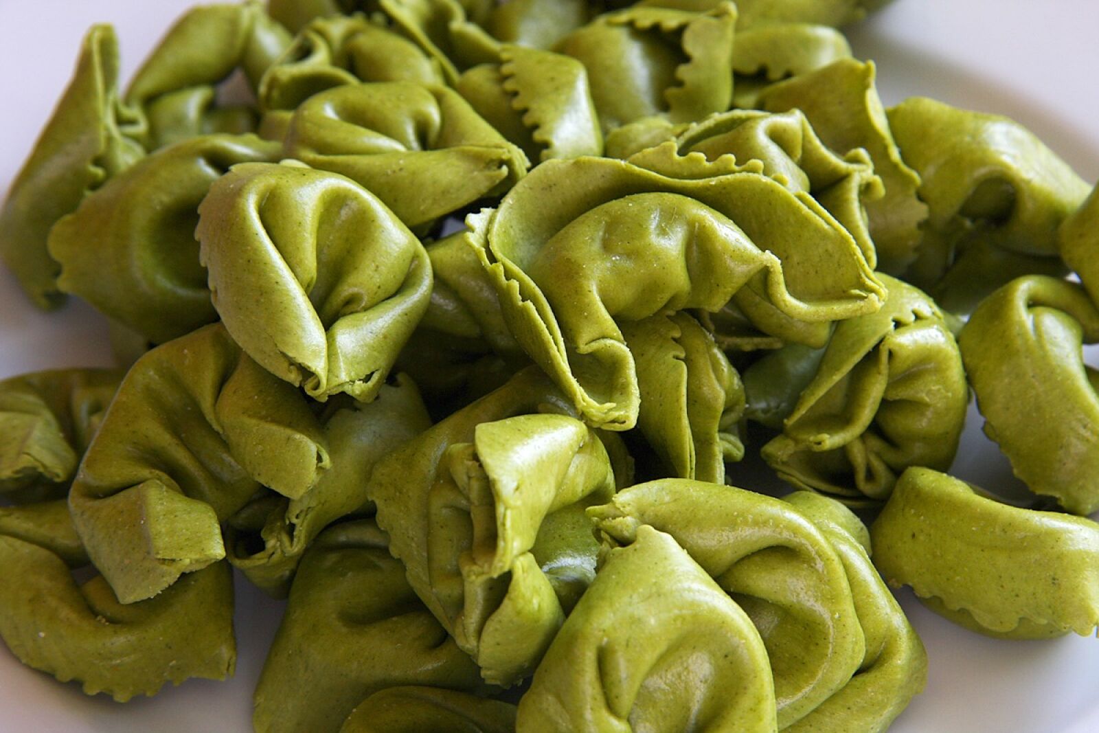 Canon EOS 40D sample photo. Tortellini, noodles, pasta photography