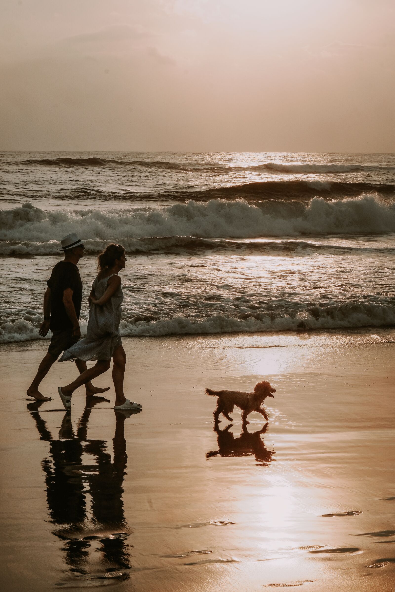 Fujifilm X-T20 sample photo. Couple, dog, walk photography
