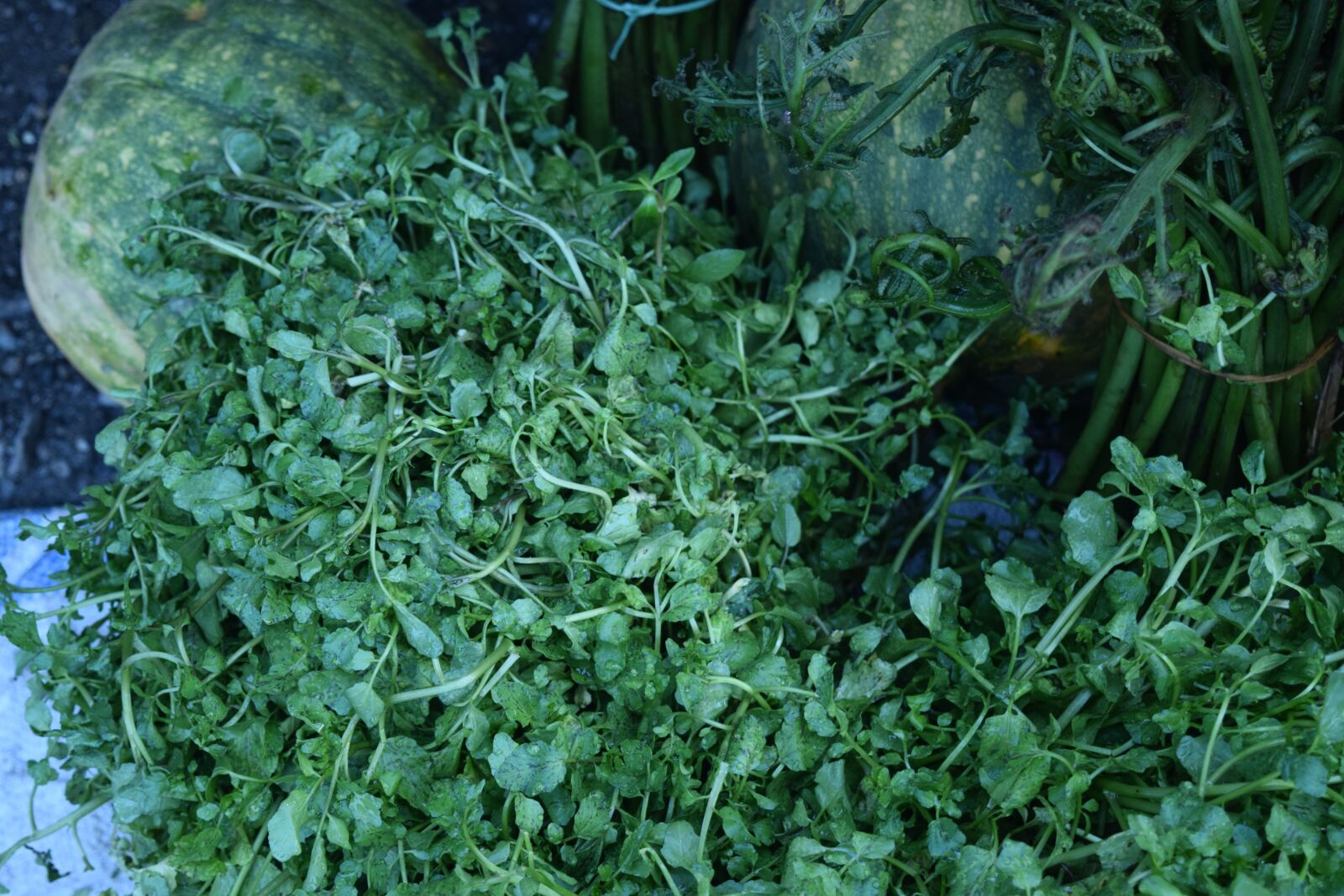 Nikon D5300 sample photo. Farming, nepal, food photography
