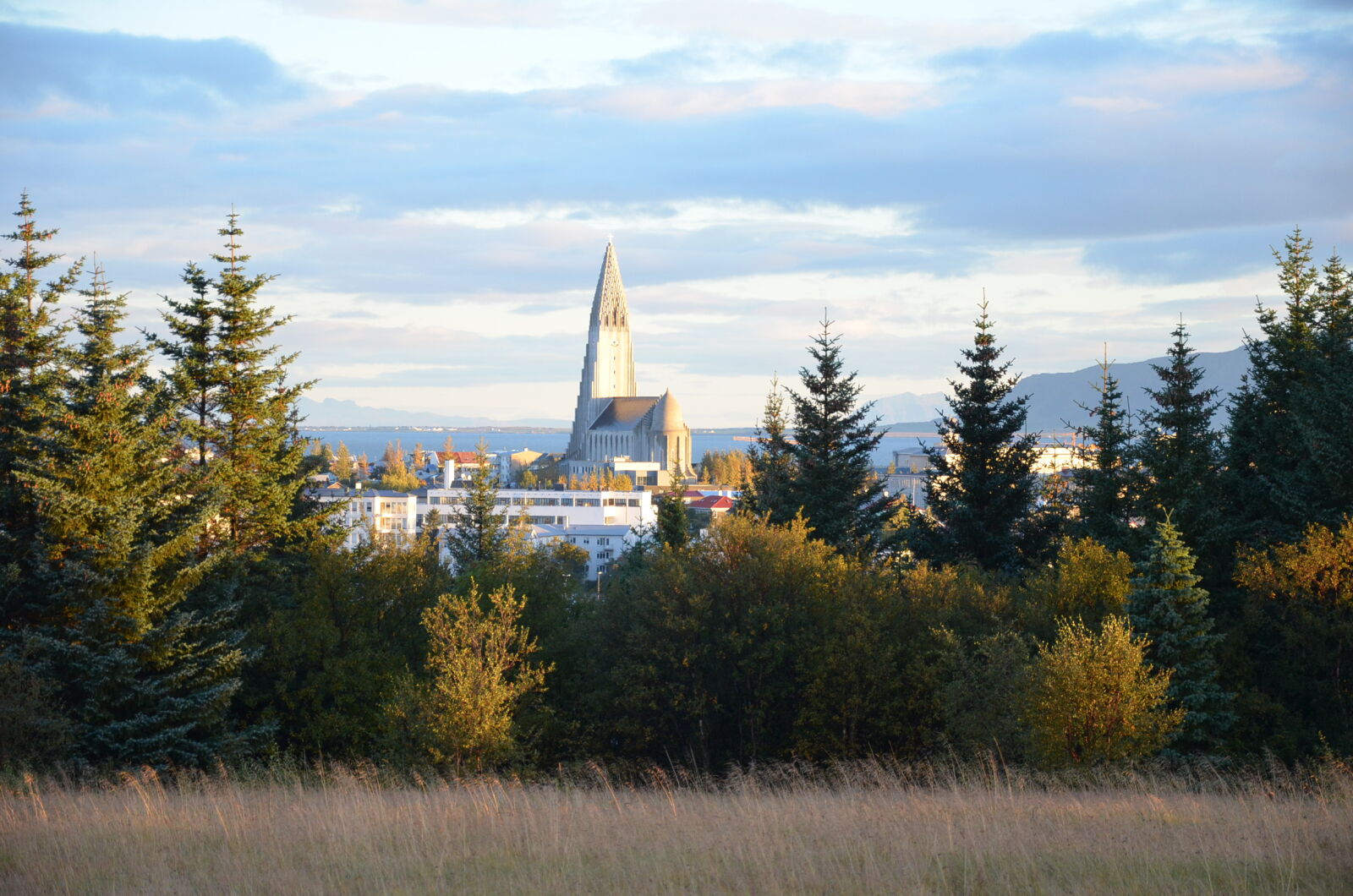 Nikon D5100 sample photo