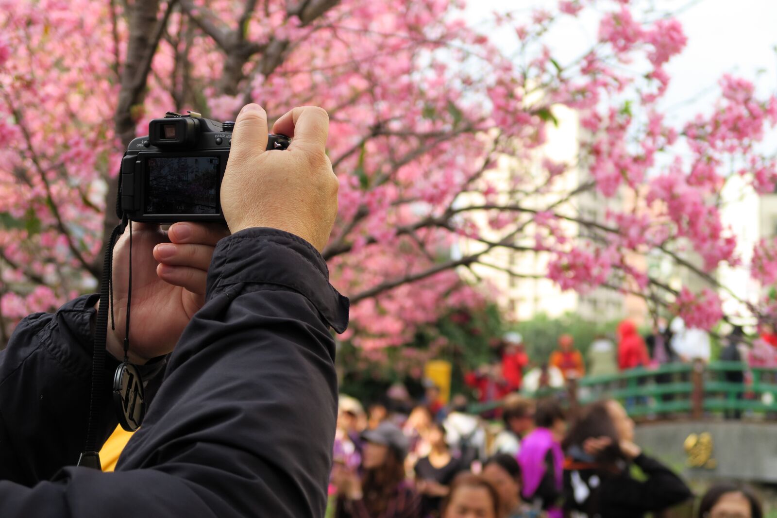 Canon PowerShot G7 X sample photo. People, outdoor, tree photography