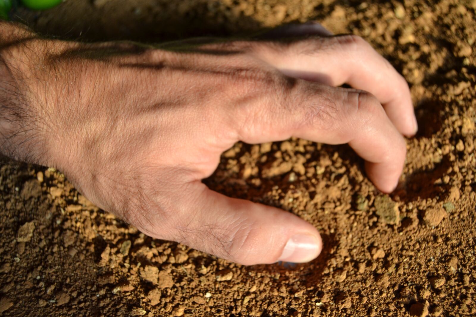 Nikon D3100 sample photo. Earth, farmer, work photography