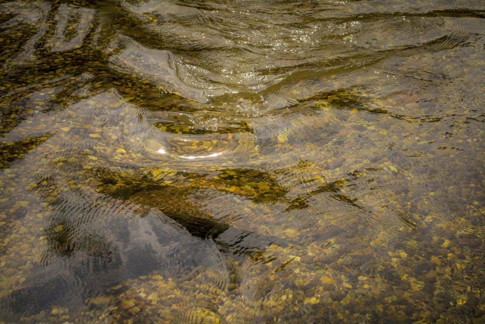 Nikon D5200 sample photo. Water, clean, nature photography