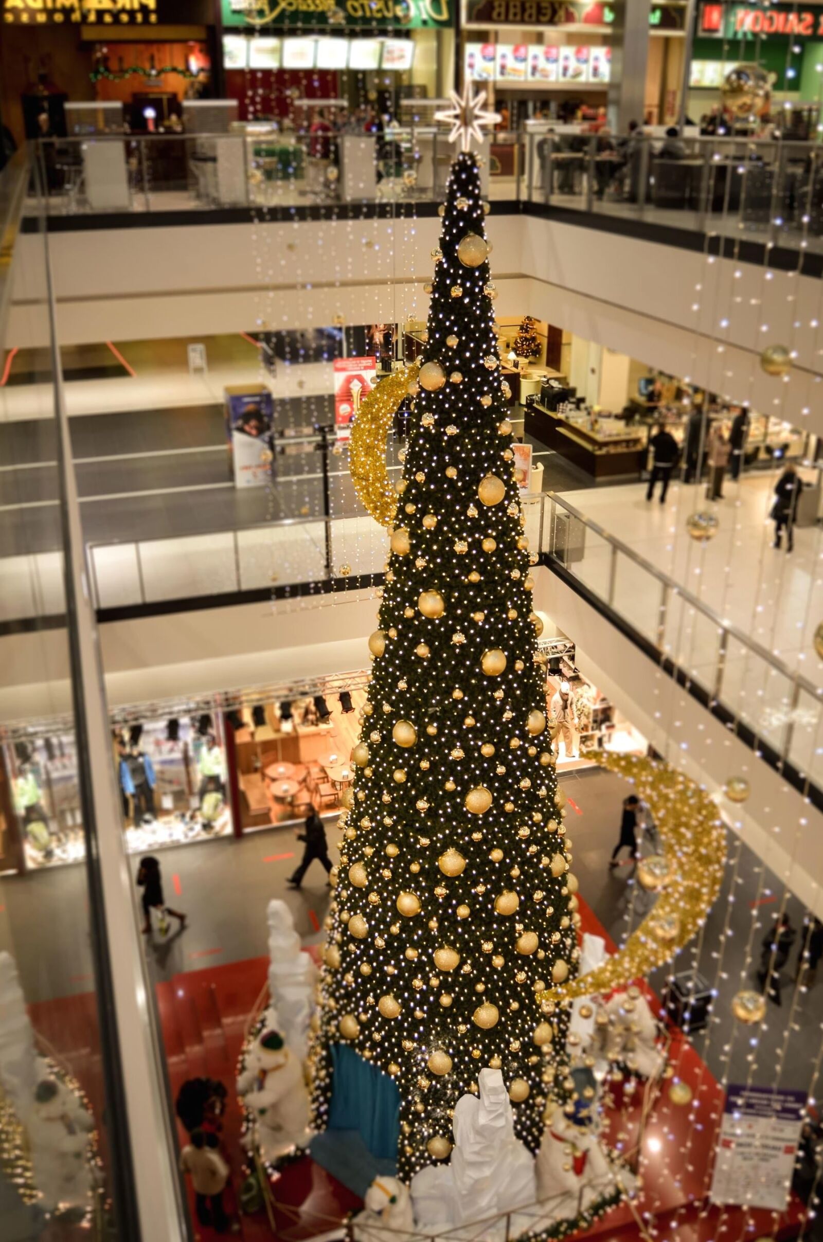 Nikon D5100 sample photo. Interior, fir, christmas, celebration photography