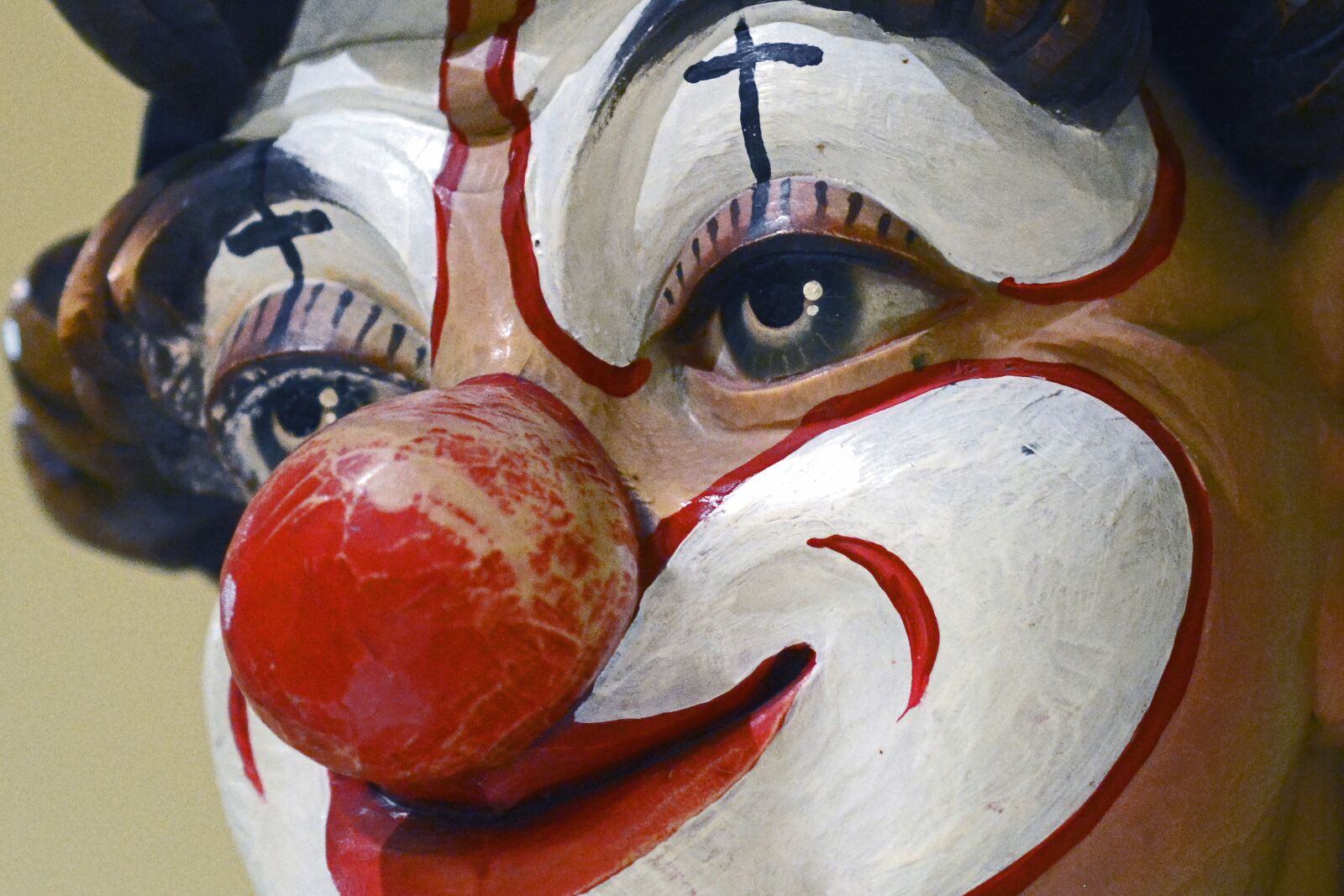 Nikon D7100 sample photo. Clown, face, painted photography