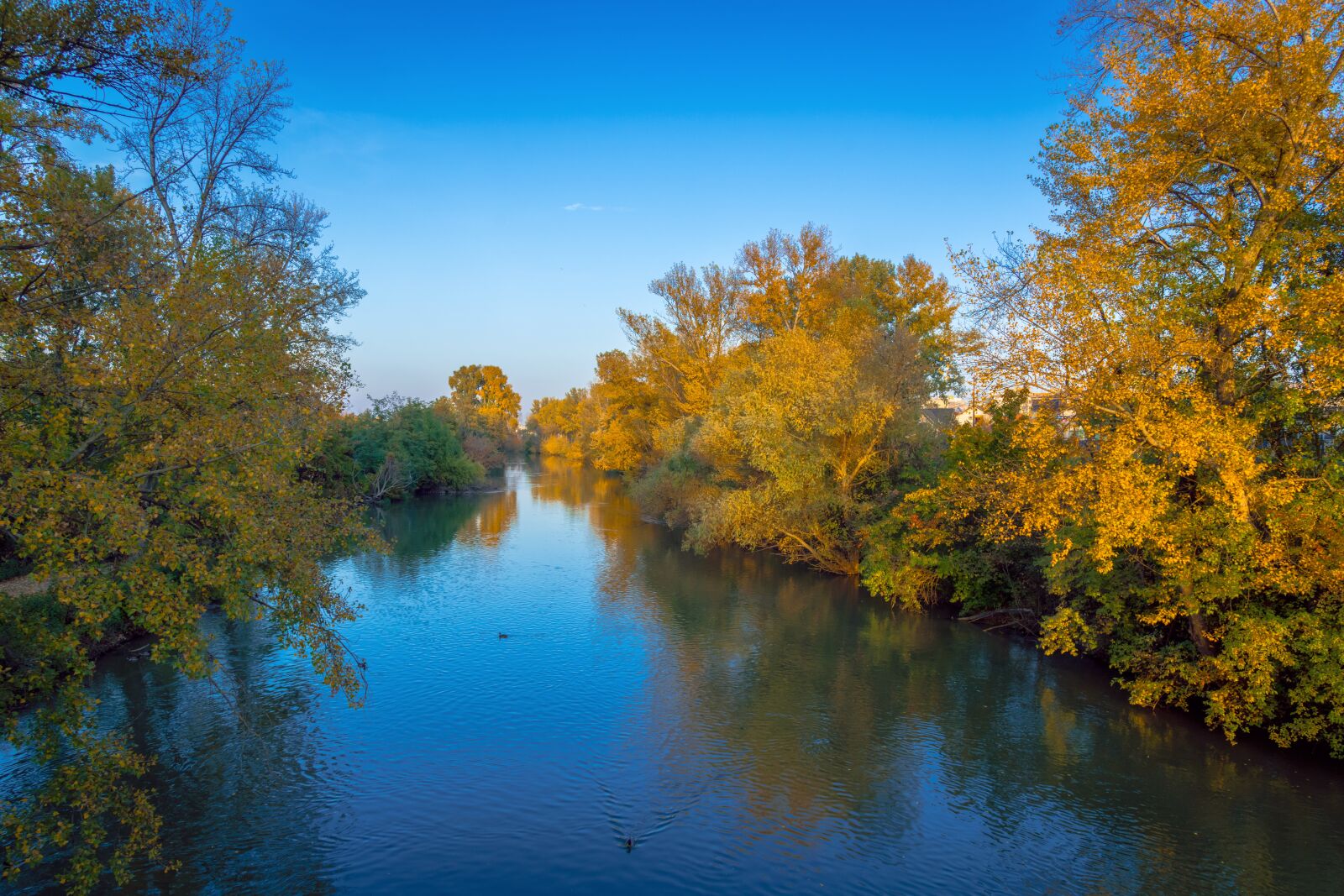 Nikon D850 sample photo. River, blue, autumn photography