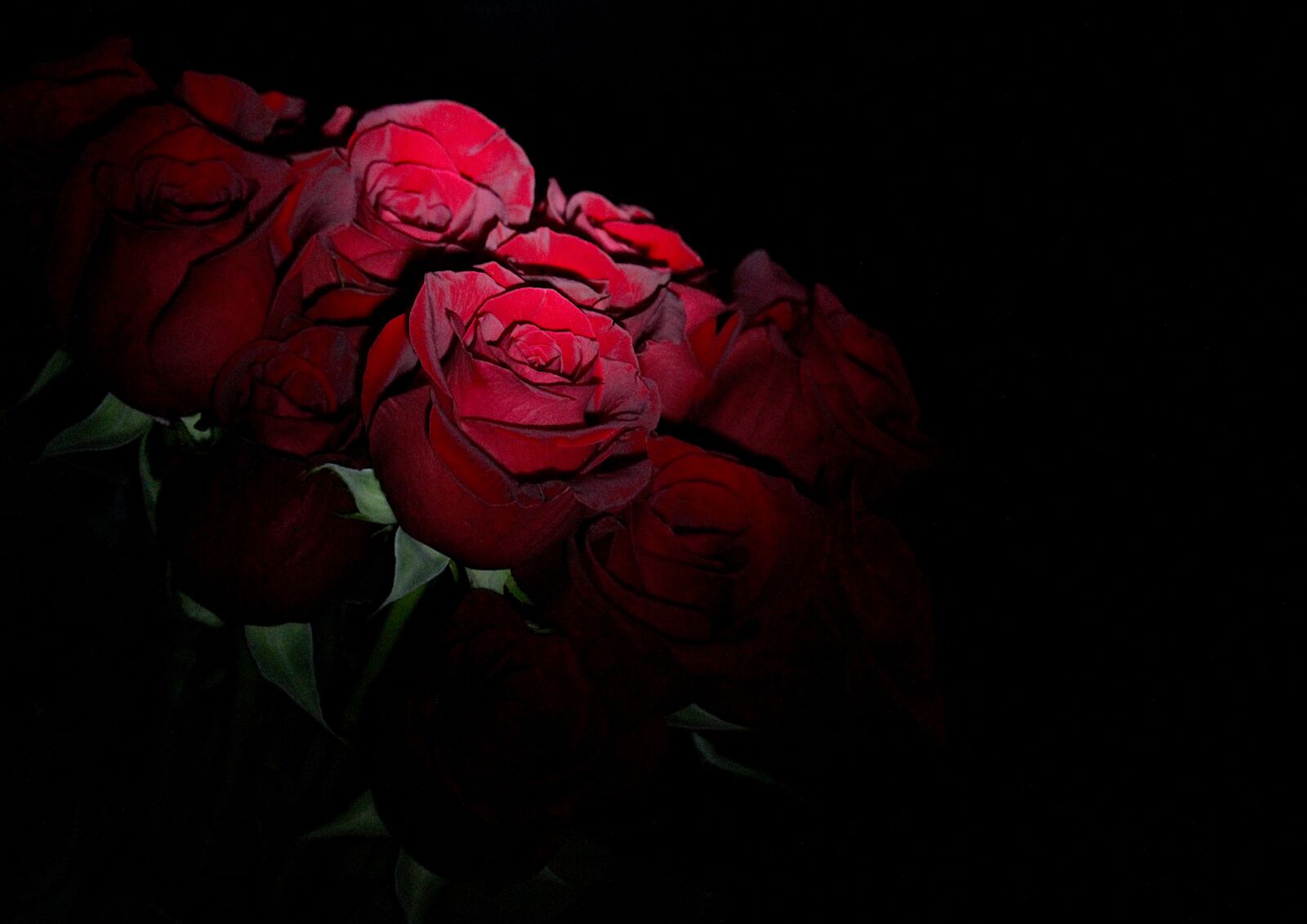 Canon EF-S 55-250mm F4-5.6 IS STM sample photo. Roses, bouquet, flowers photography