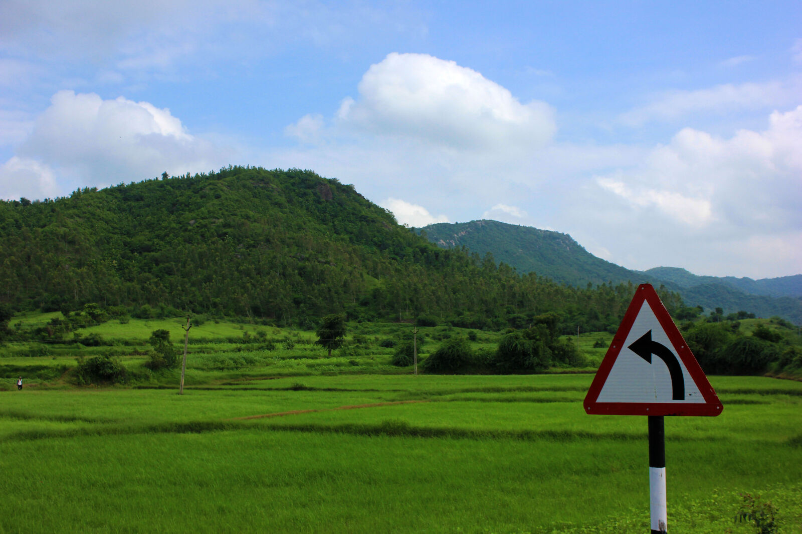 Canon EOS 600D (Rebel EOS T3i / EOS Kiss X5) sample photo. Nature, photography photography
