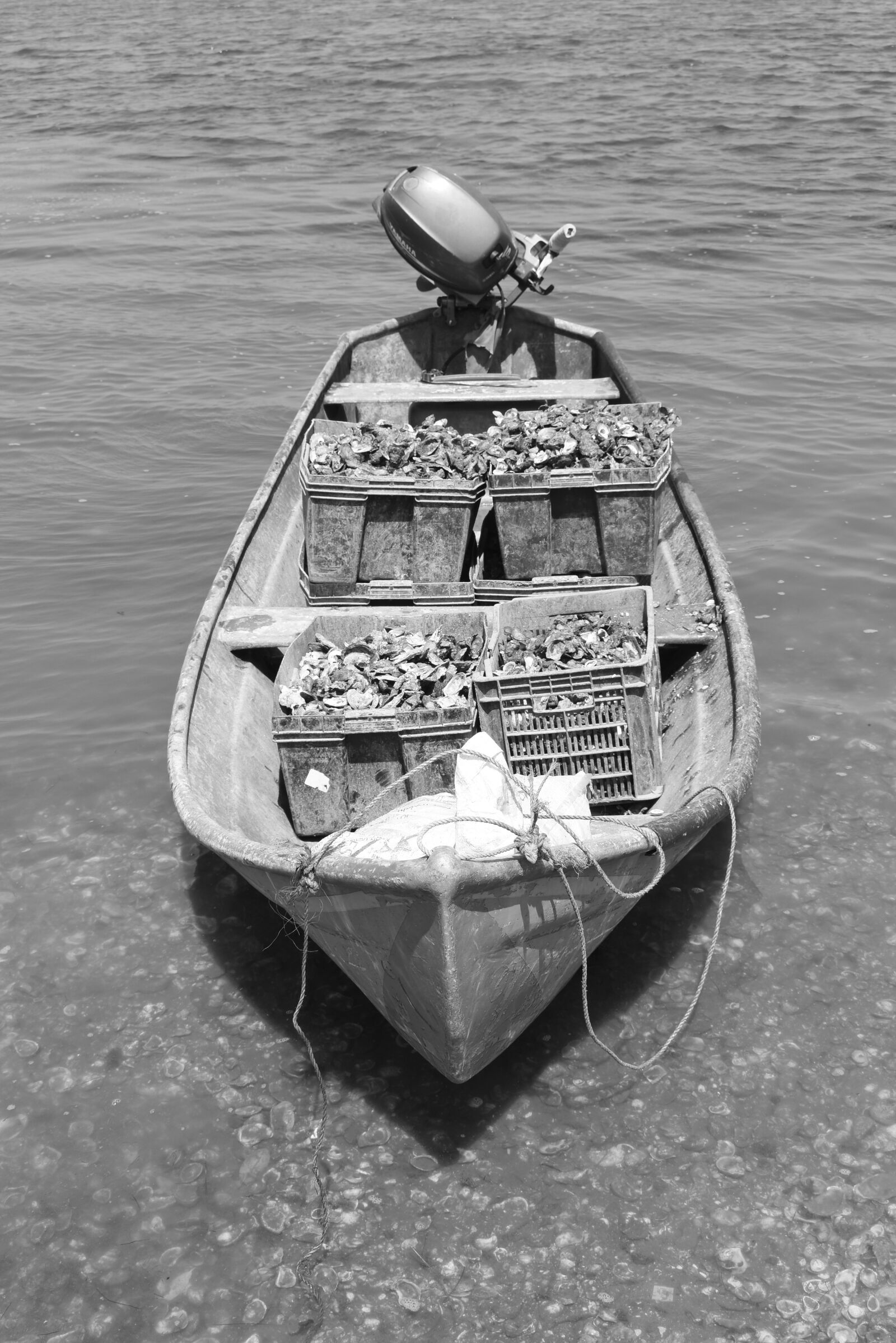 Nikon D5600 sample photo. Boat, transport, vehicle photography