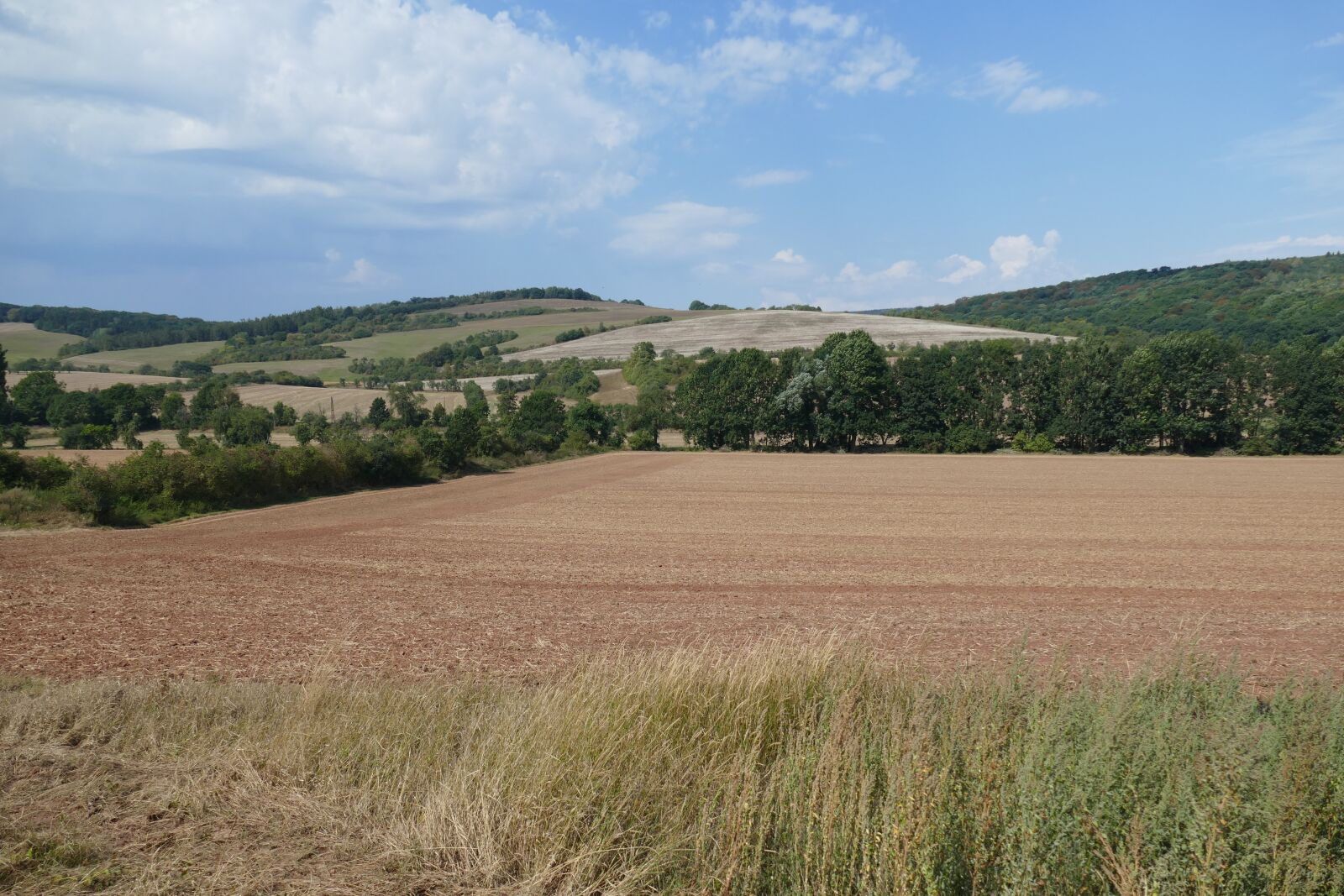 Panasonic Lumix DMC-FZ1000 sample photo. Panorama, arable, field photography