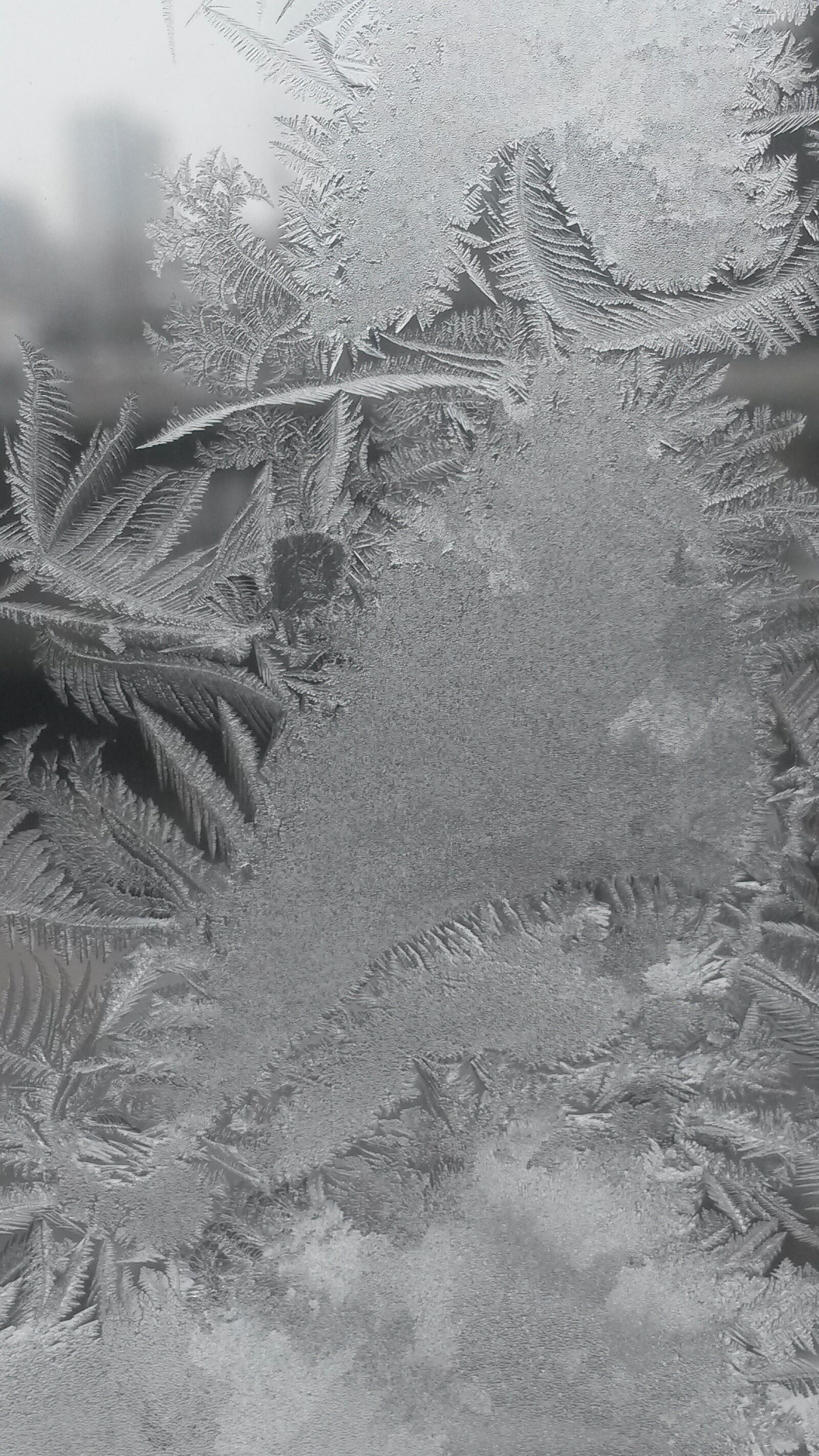 Samsung Galaxy S4 Mini sample photo. Hardest, frost, iced photography