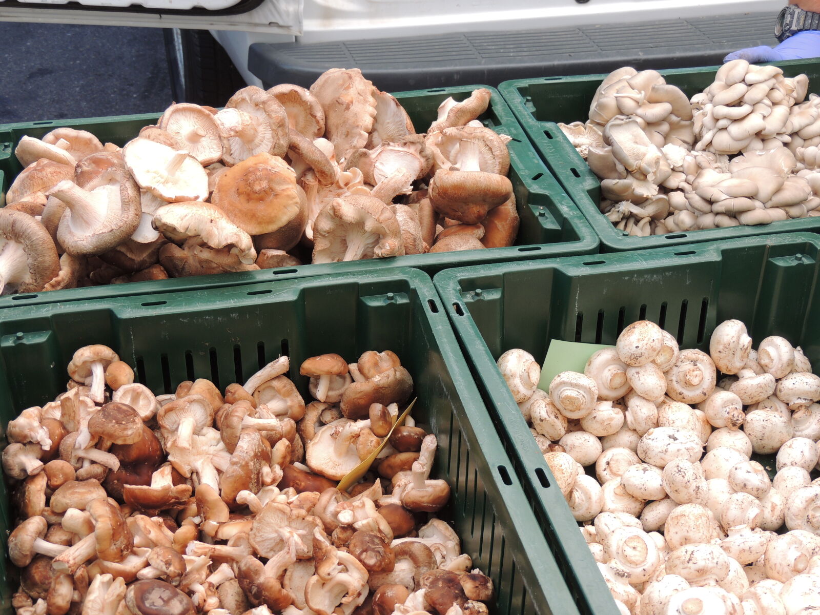 Nikon Coolpix P510 sample photo. Button, mushrooms, crimini, farmers photography