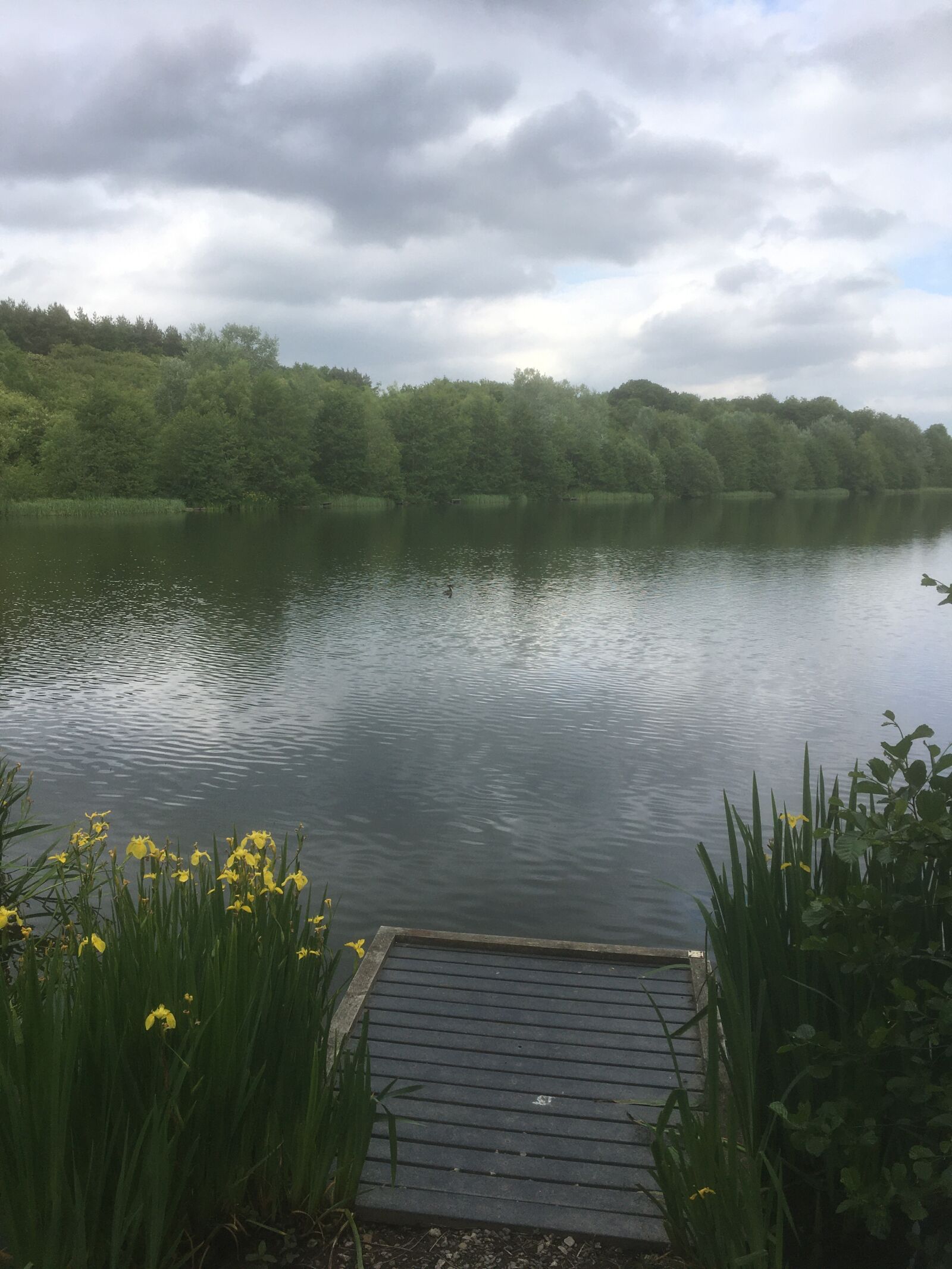 iPhone SE back camera 4.15mm f/2.2 sample photo. Derbyshire, holmebrook, spring photography