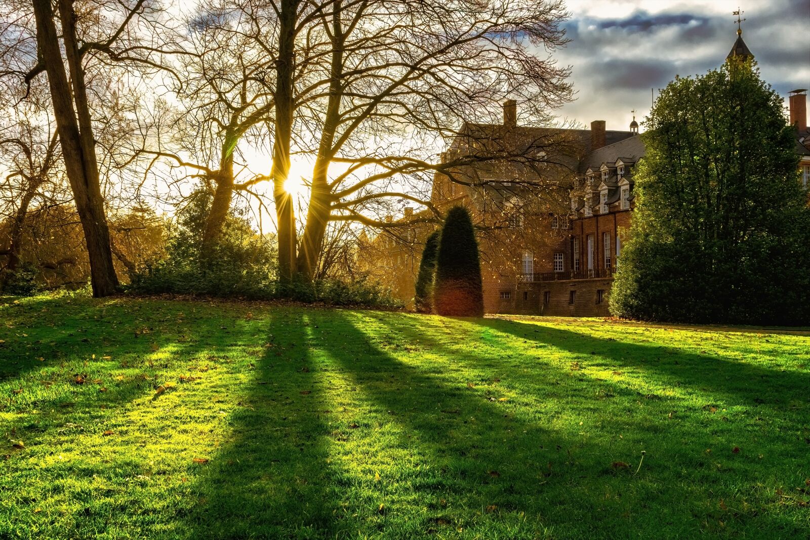 Nikon D3300 sample photo. Park, castle park, trees photography