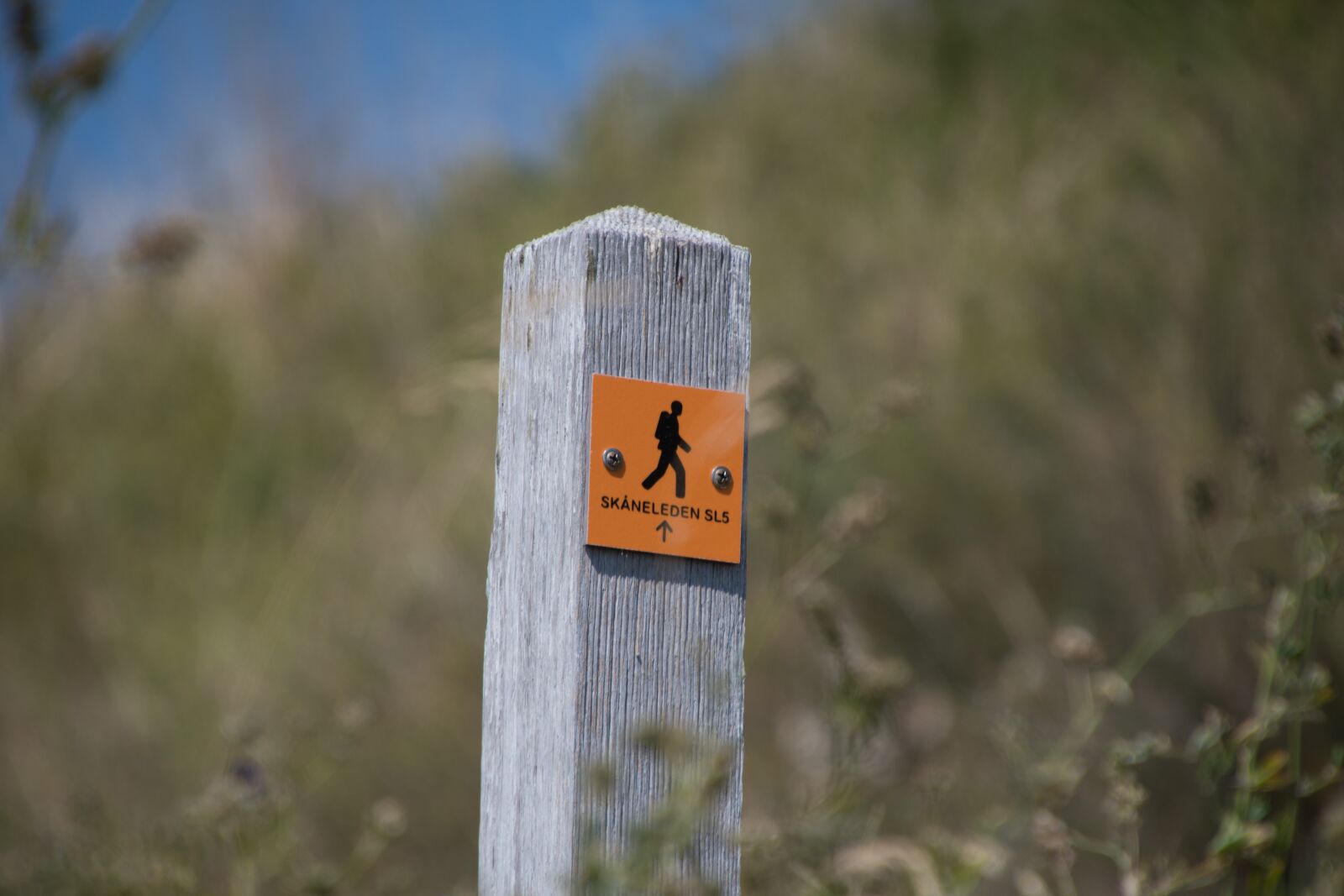 Nikon D500 sample photo. The sk neleden hiking photography