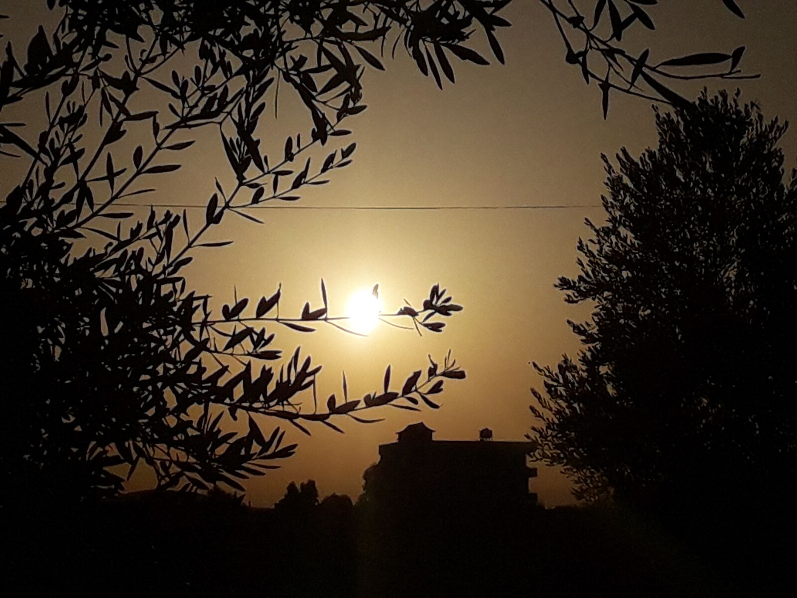 Samsung Galaxy J6 sample photo. Sun, tree, sunset photography