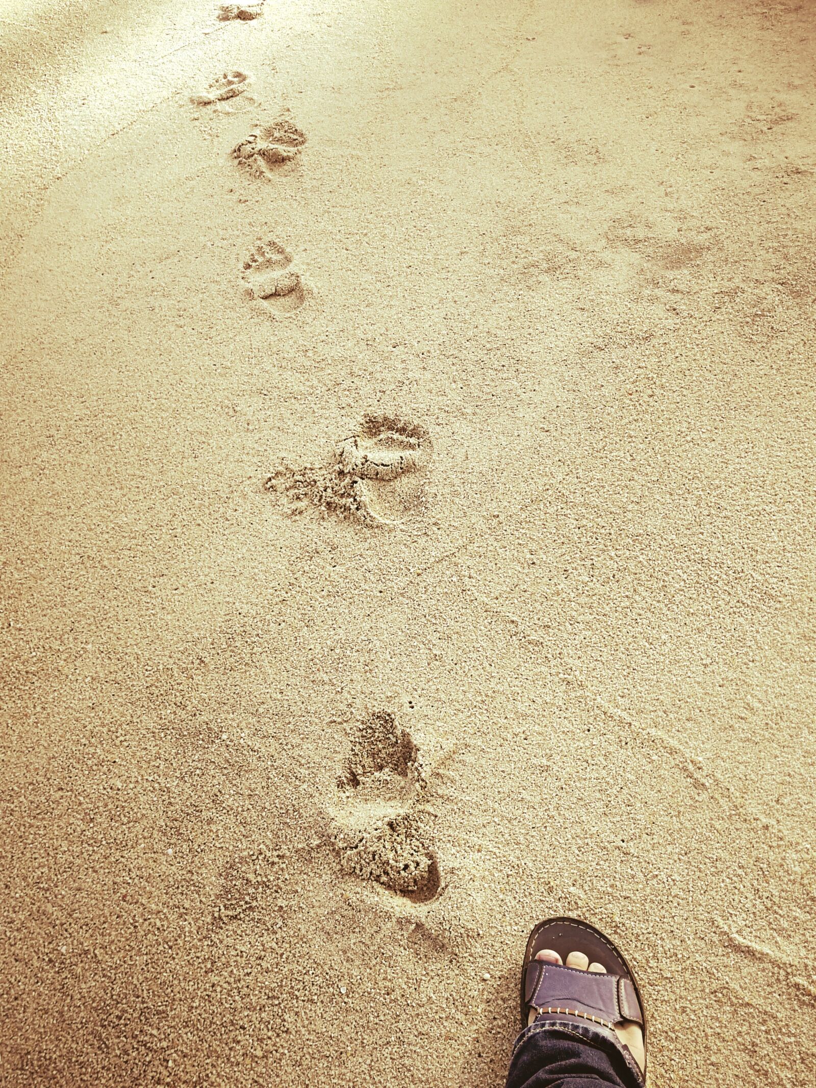 HUAWEI P10 Plus sample photo. Sand, beach, footprint photography