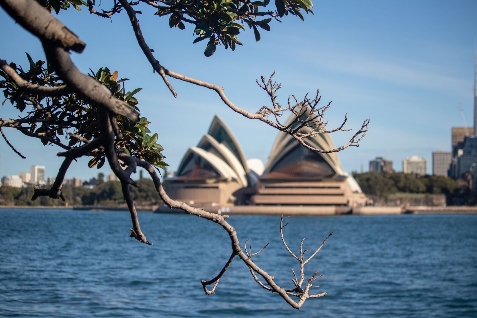 Canon EOS 200D (EOS Rebel SL2 / EOS Kiss X9) sample photo. Sydney, opera, house photography