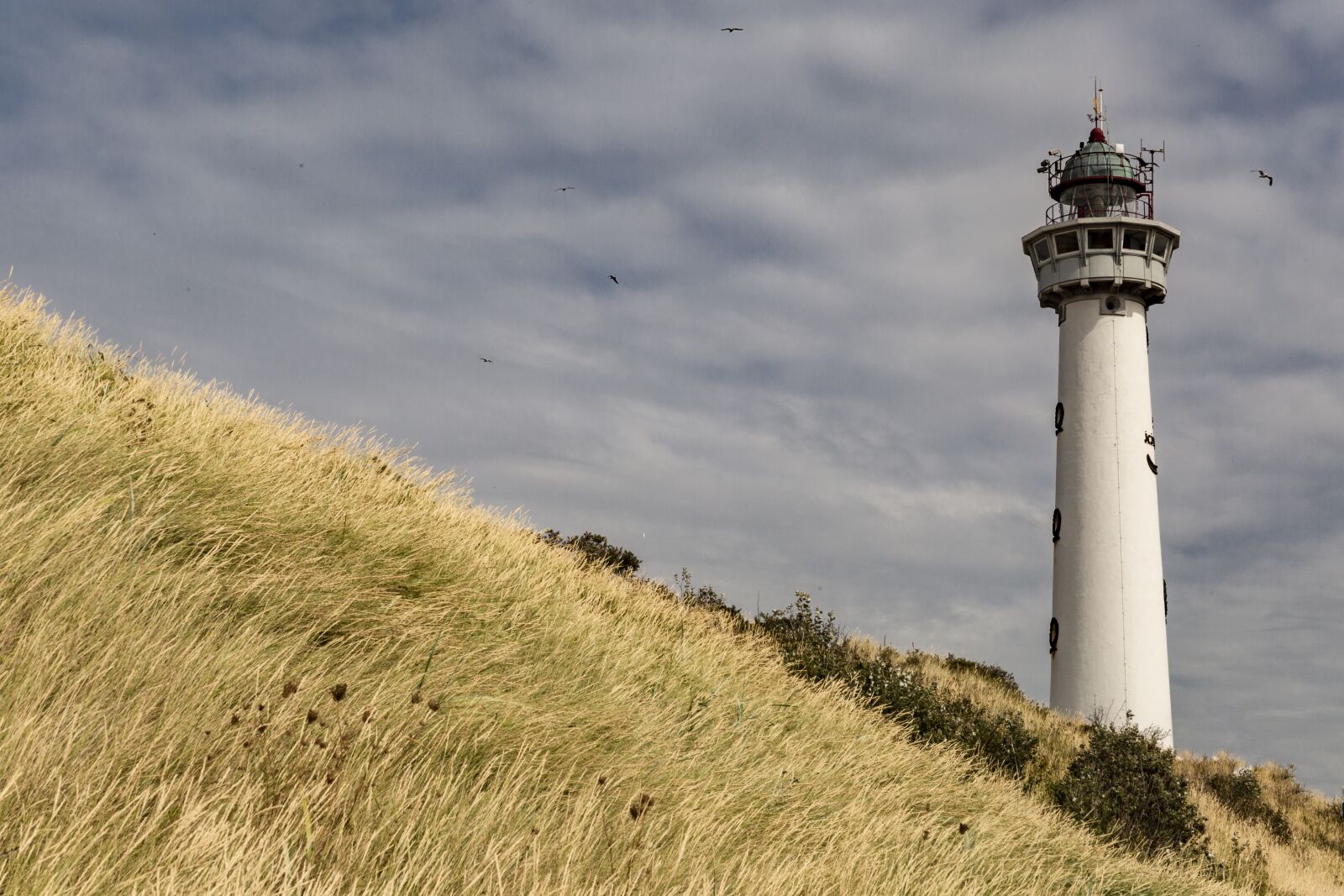Canon EOS 5D Mark III sample photo. Lighthouse, netherlands, sea photography