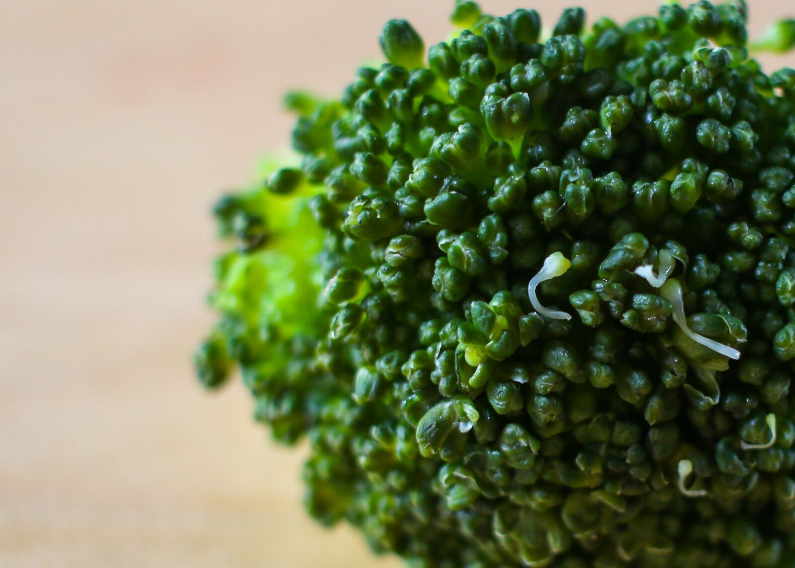 Canon EF-S 24mm F2.8 STM sample photo. Broccoli, vegetable, food photography