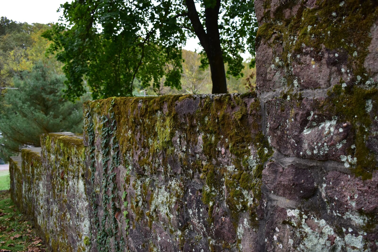 Nikon D3500 sample photo. Outside, outdoors, old photography