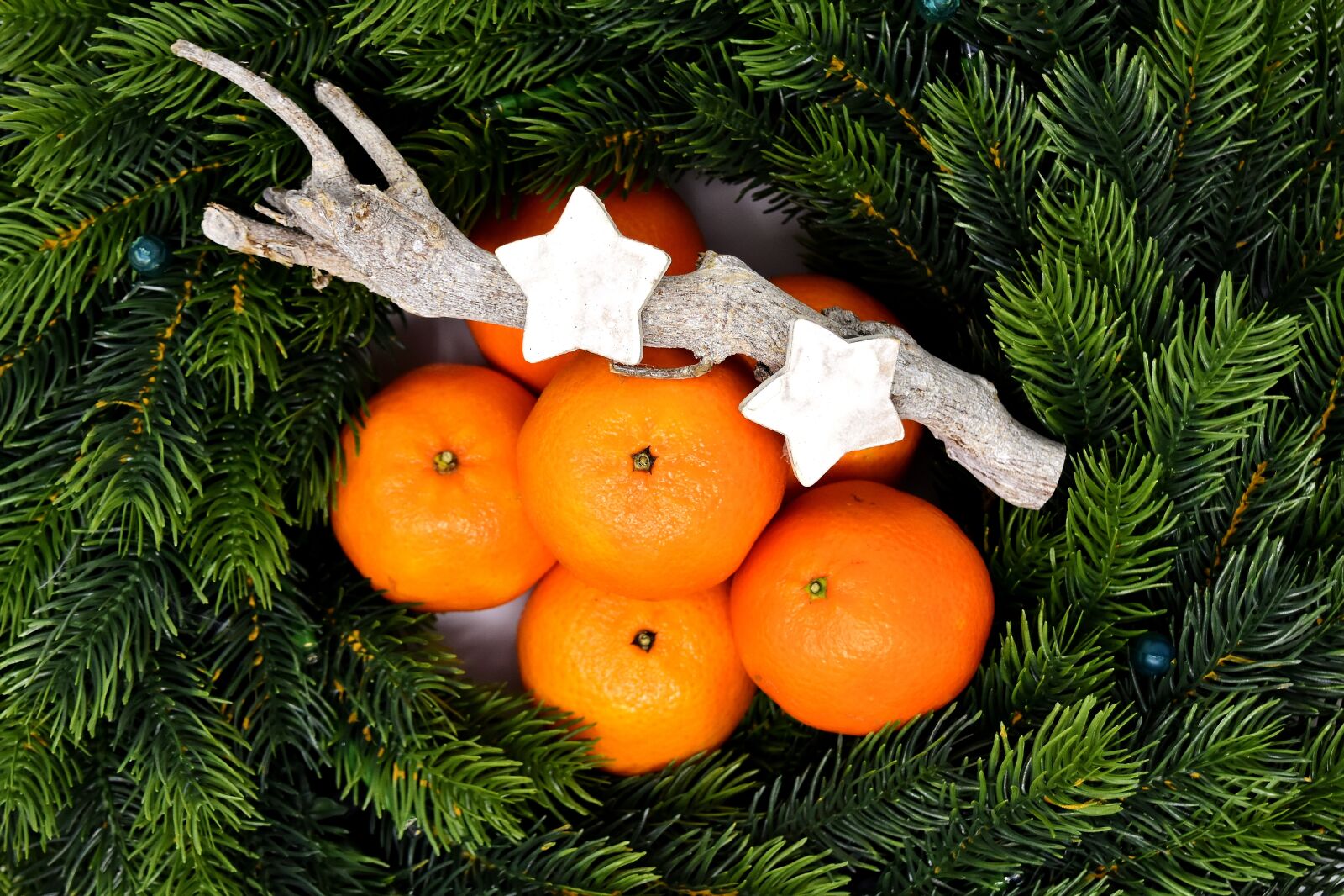 Nikon D7200 sample photo. Holly, tangerines, christmas photography
