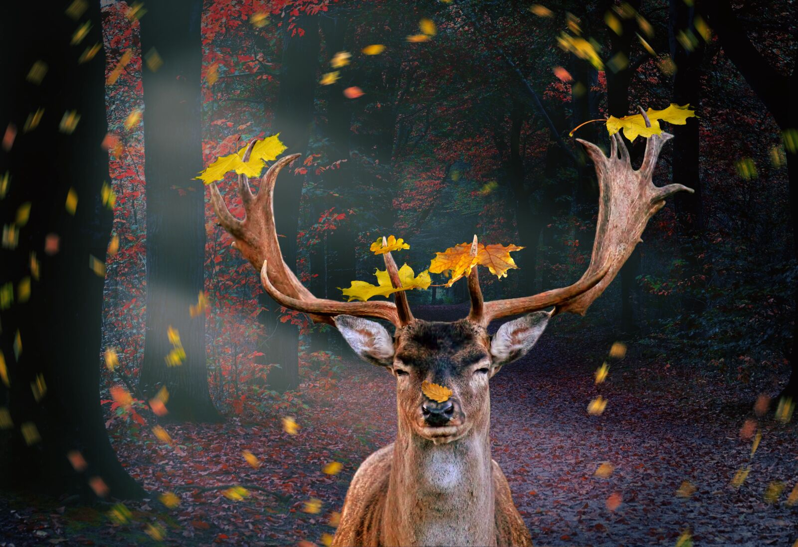 Sony Cyber-shot DSC-RX10 III sample photo. Autumn, forest, hirsch photography