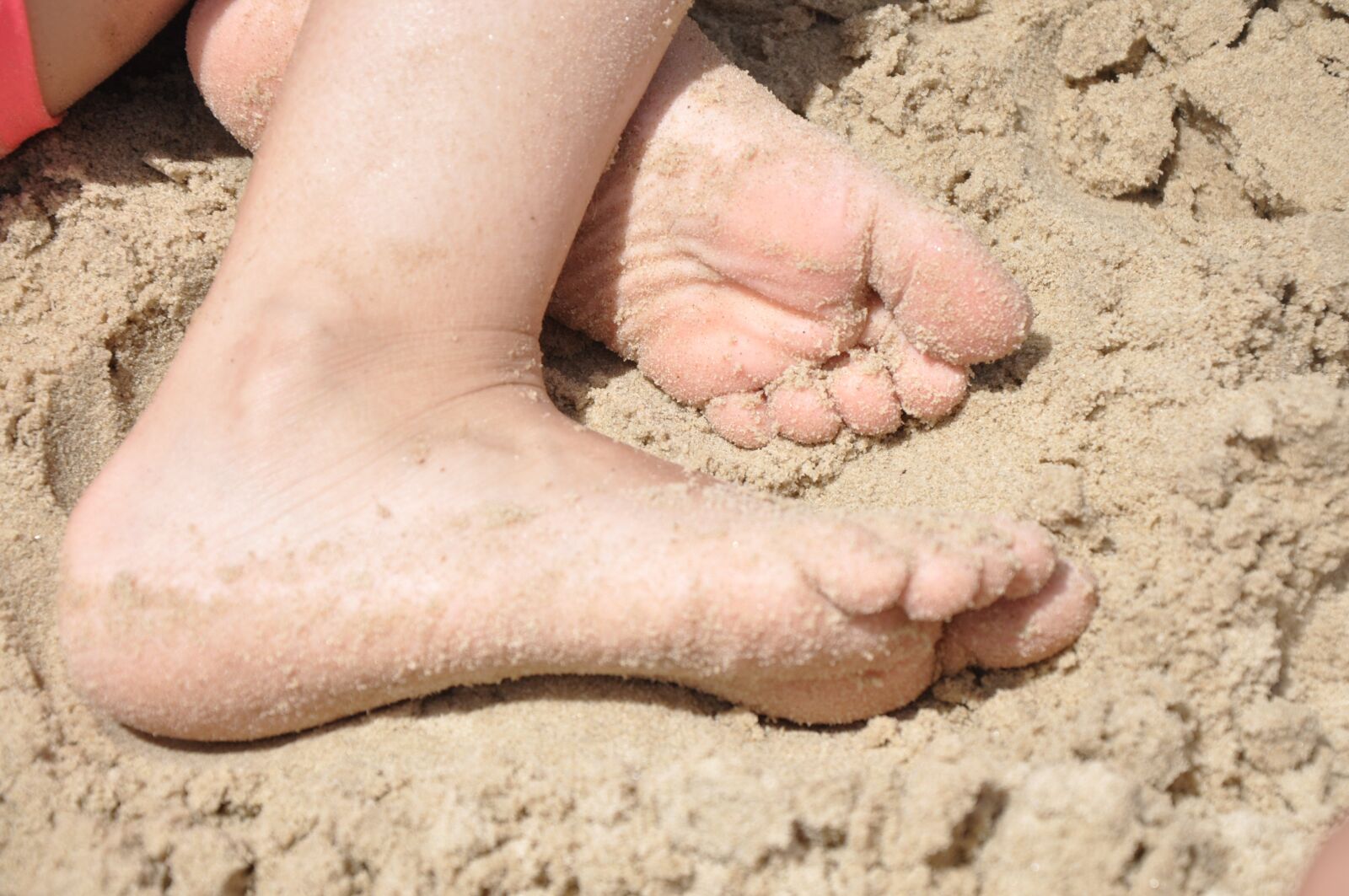 Nikon D90 sample photo. Feat, tow, sand photography