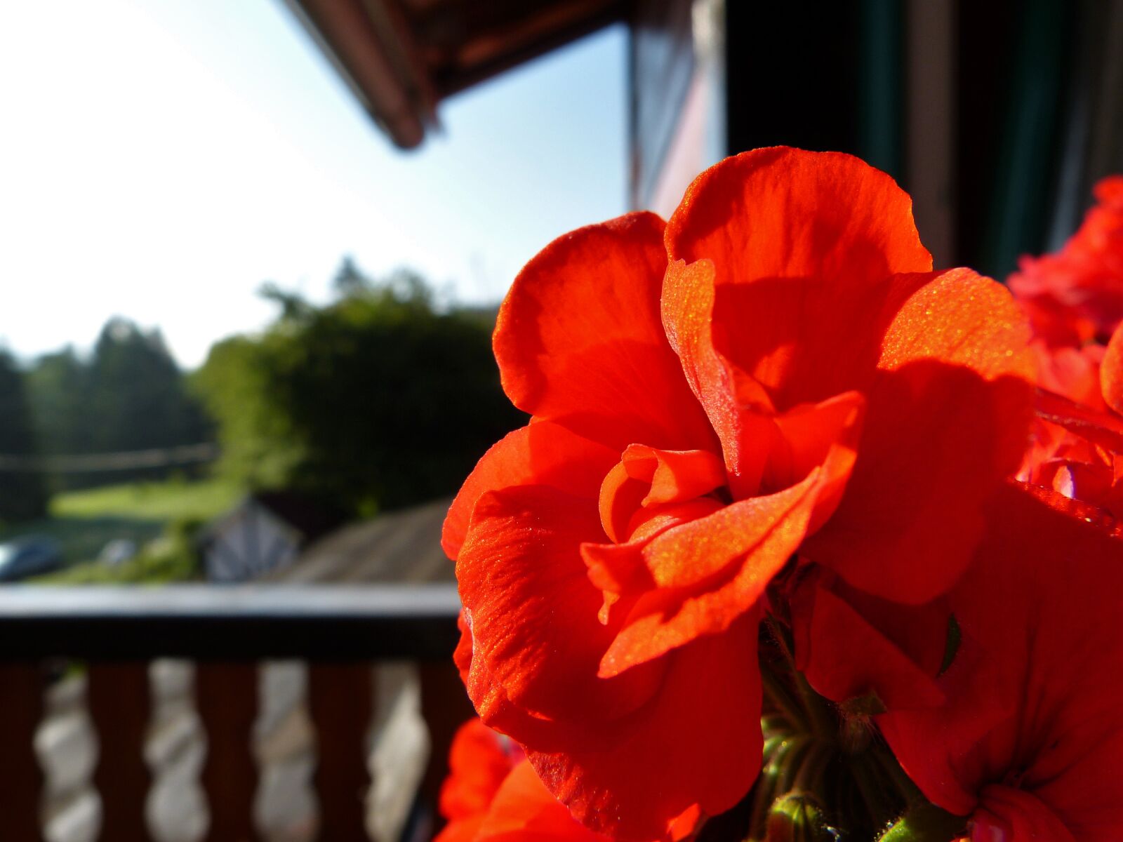 Panasonic Lumix DMC-FZ150 sample photo. Balcony, flower, mountain, rustical photography