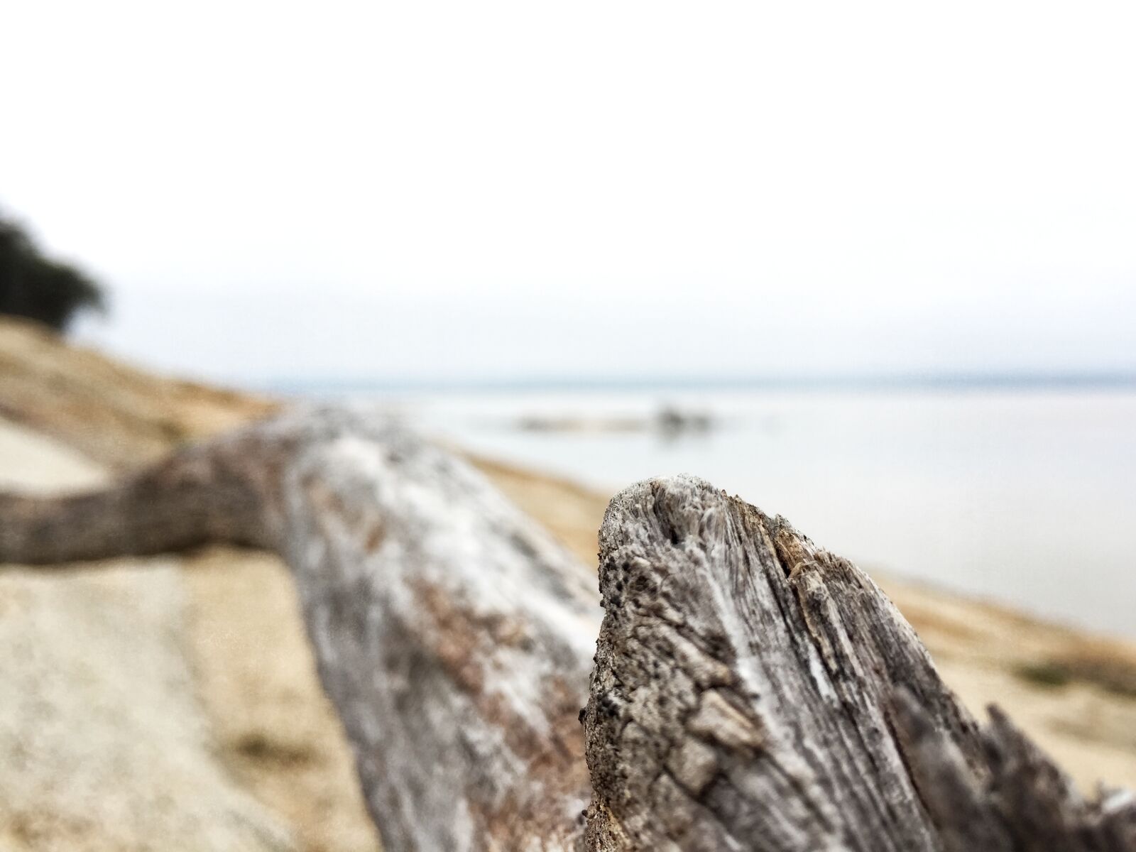 Apple iPhone 6 sample photo. Beach, blue, water, blur photography