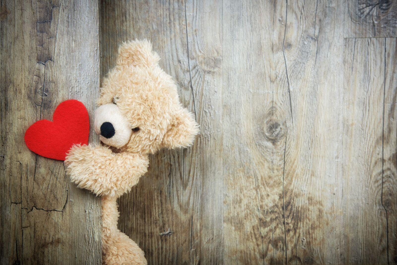 Fujifilm X-T2 + Fujifilm XF 35mm F2 R WR sample photo. Heart, love, romance photography