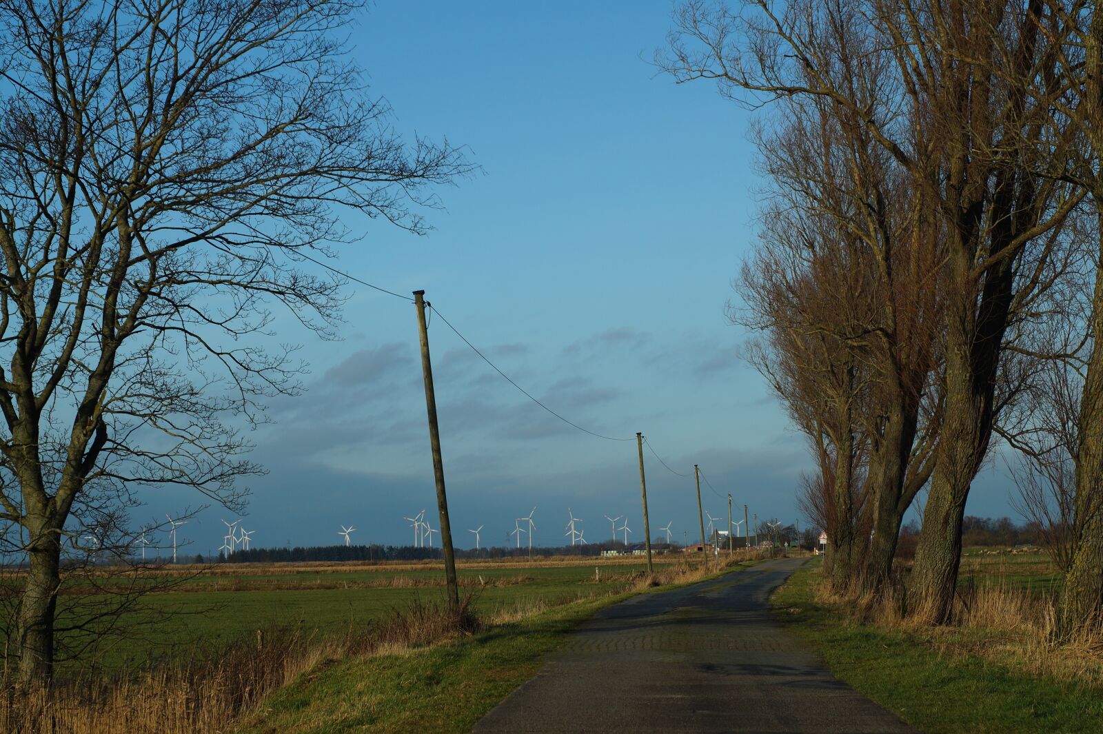 Sony SLT-A58 sample photo. Winpark, away, trees photography
