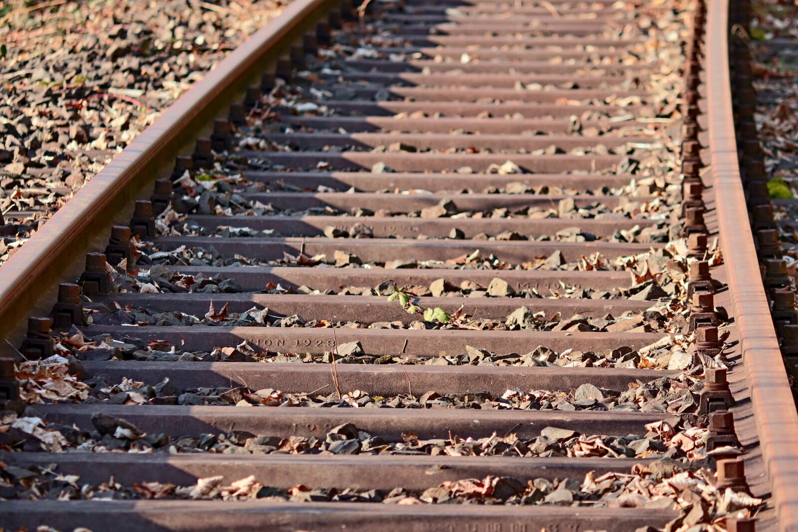 Canon EOS 200D (EOS Rebel SL2 / EOS Kiss X9) sample photo. Rails, threshold, gravel photography