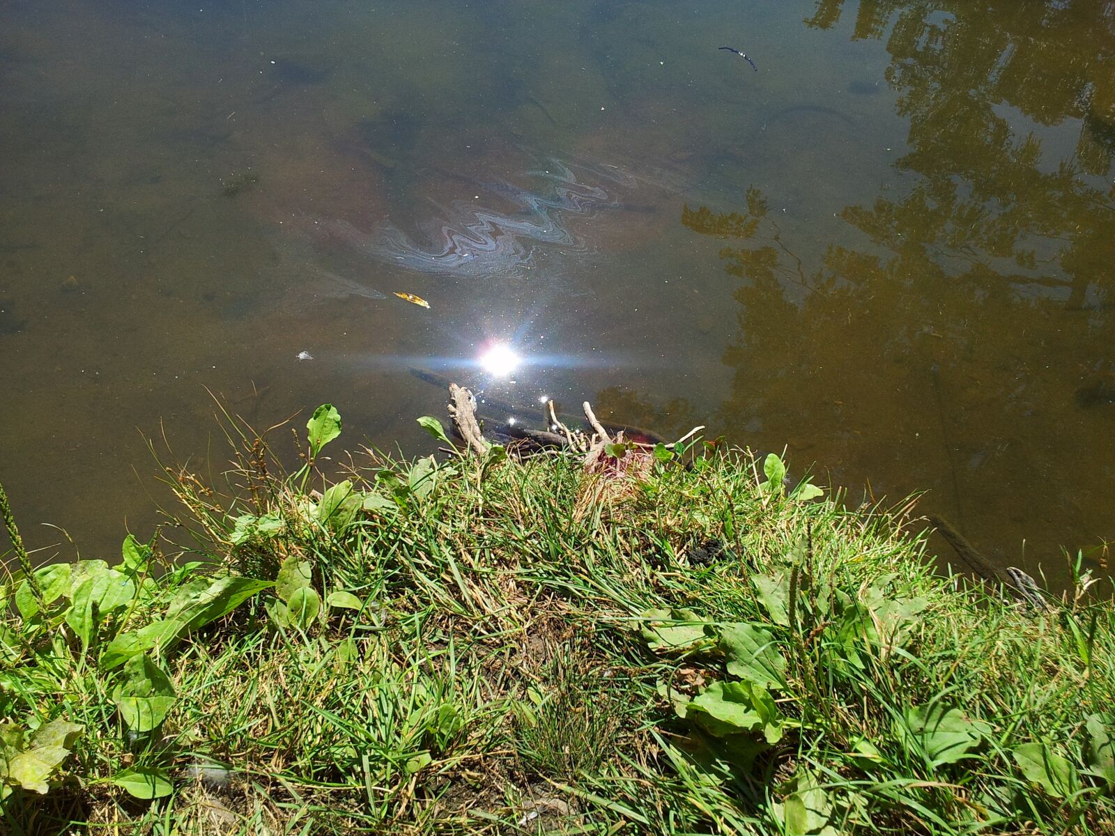 Samsung Galaxy S2 X sample photo. Pond, lake, sun photography