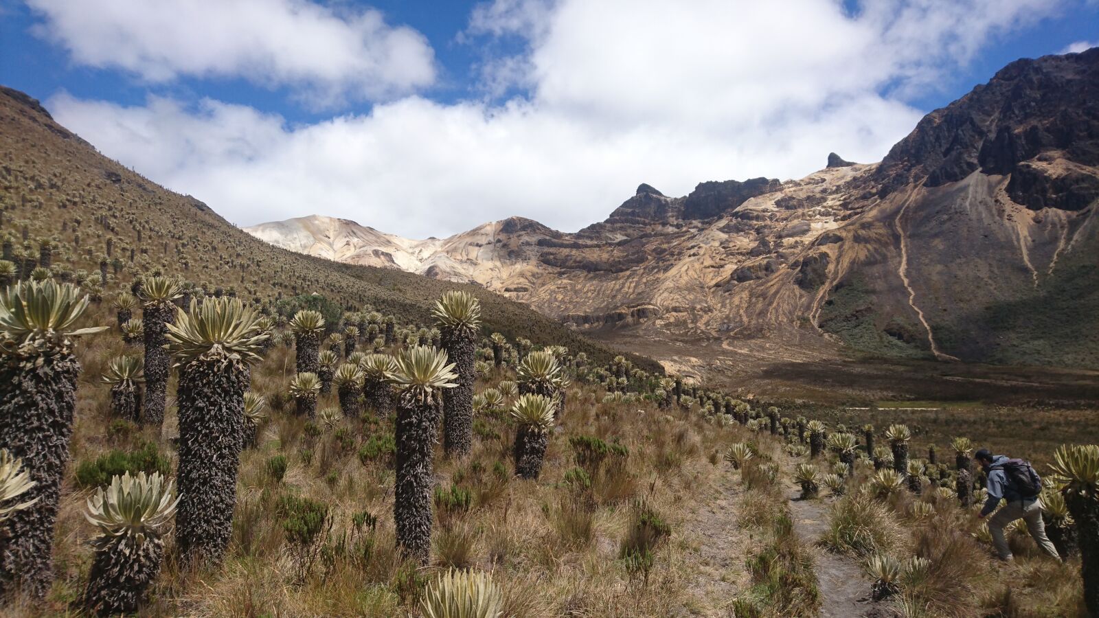 Sony Xperia Z5 Compact sample photo. Colombia, trekking, mountains photography