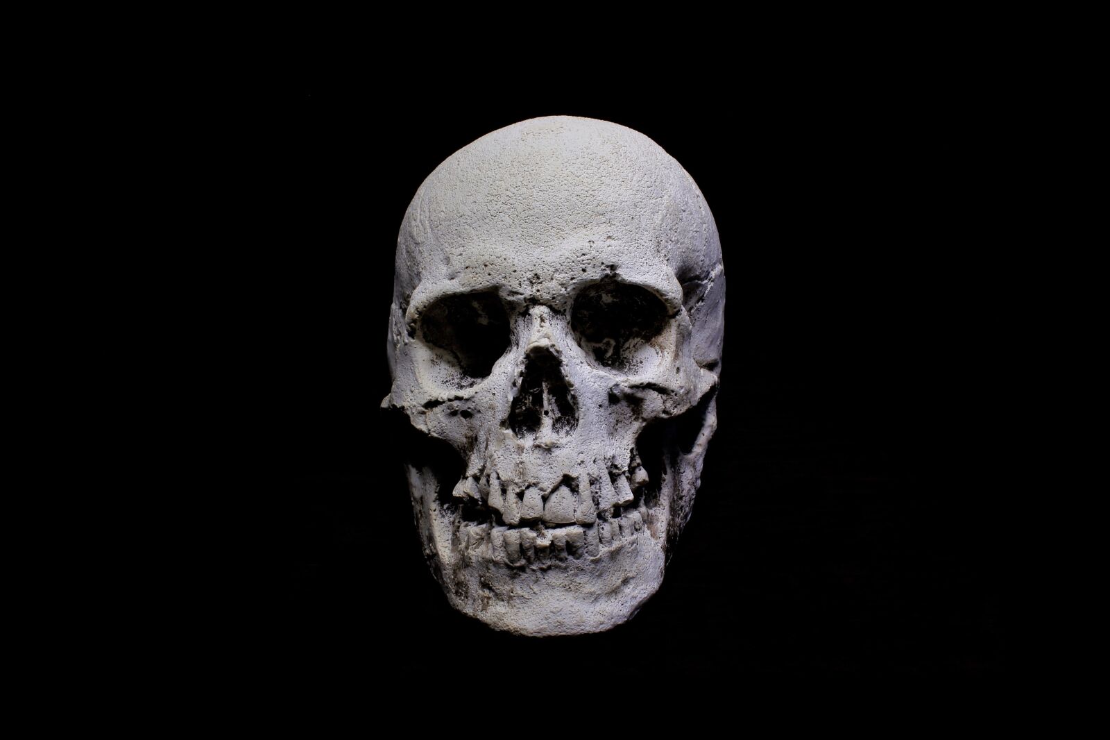 Canon EOS 1200D (EOS Rebel T5 / EOS Kiss X70 / EOS Hi) sample photo. Skull, dark, gothic photography