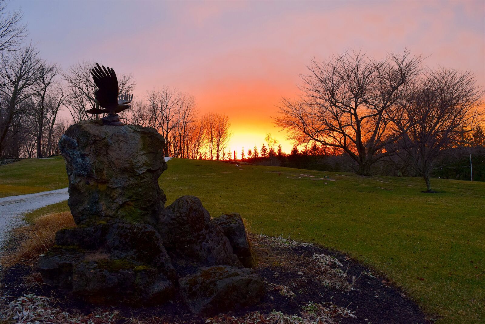 Nikon D3300 sample photo. Sunset, park, nature photography