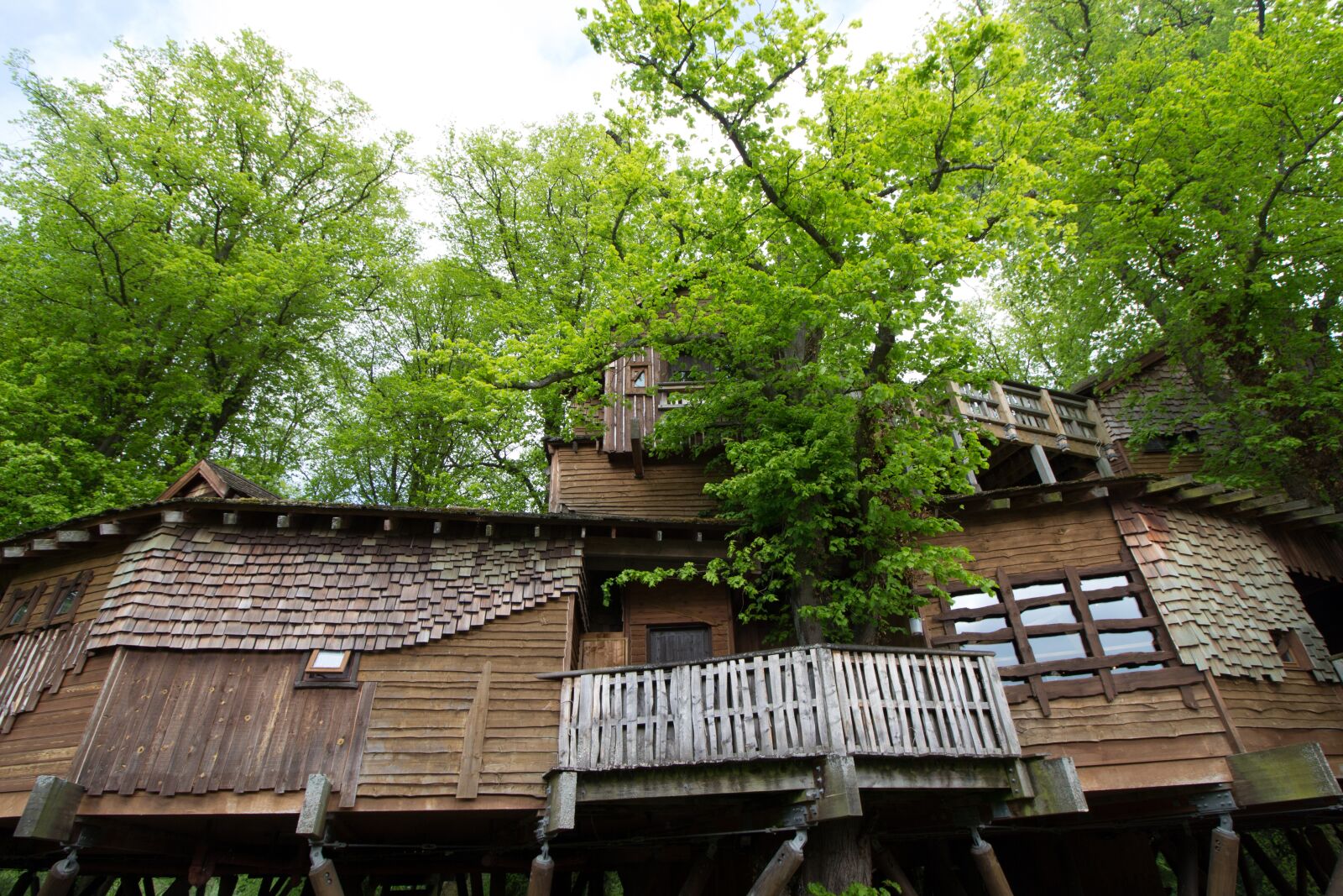 Canon EOS 700D (EOS Rebel T5i / EOS Kiss X7i) sample photo. Treehouse, alnwick, northumberland photography