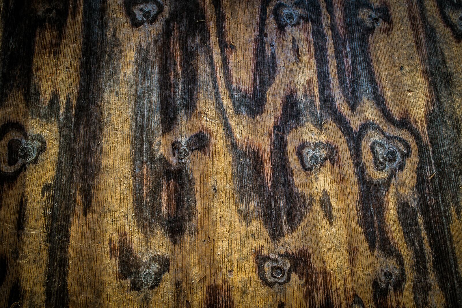 Canon PowerShot G7 X Mark II sample photo. Wood, floor, texture photography