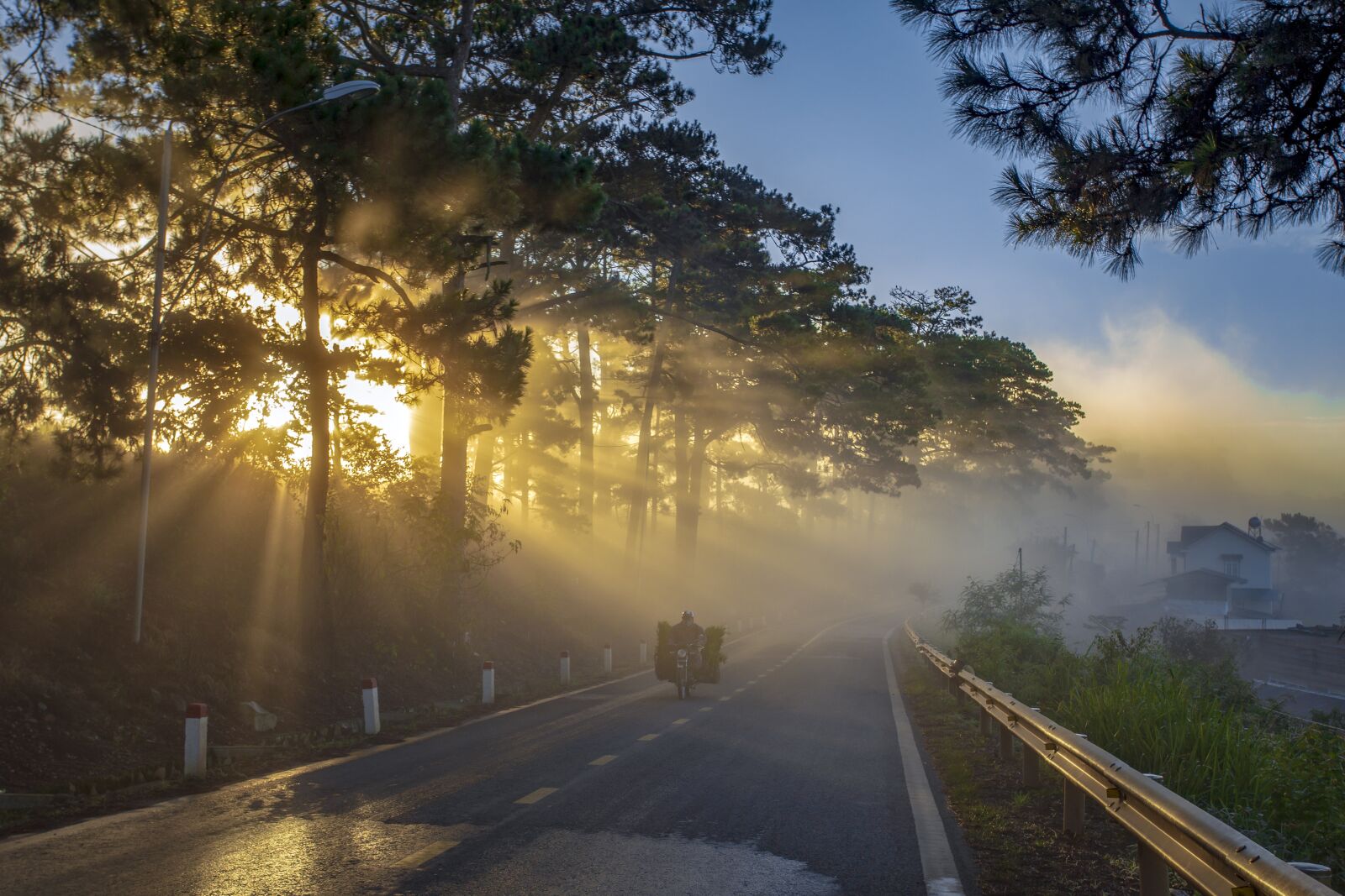 Canon EOS 6D + Canon EF 17-40mm F4L USM sample photo. Sunshine, trees, sun ray photography