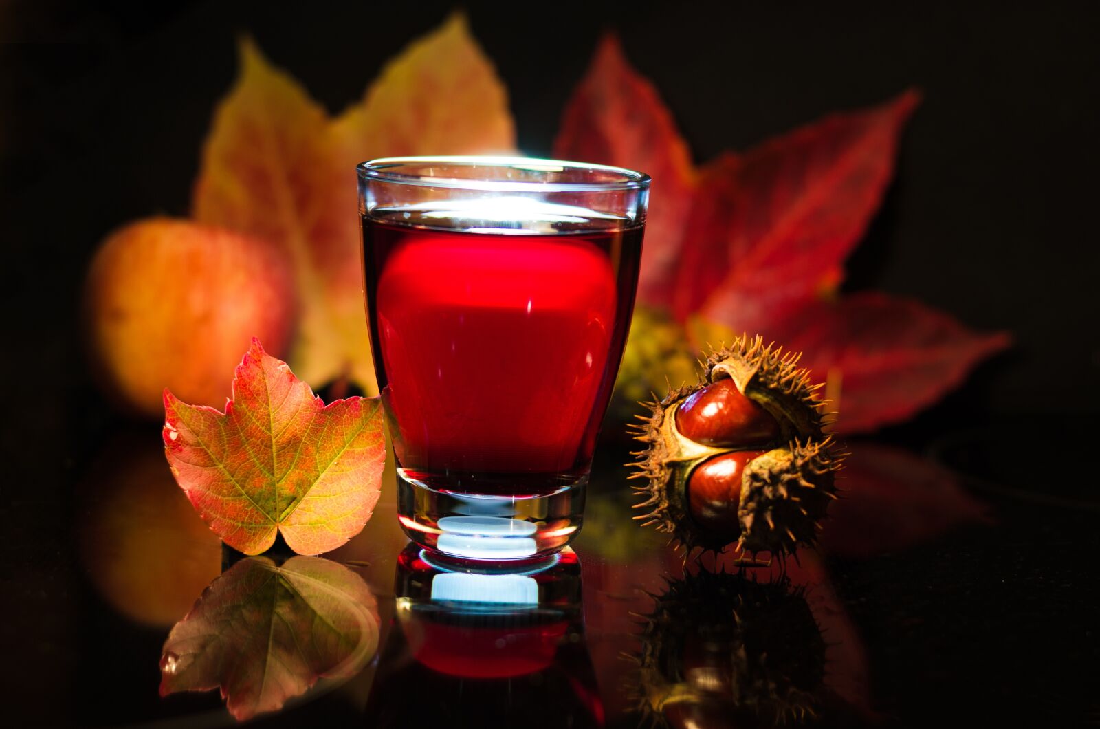 Nikon D5100 sample photo. Autumn, still life, wine photography