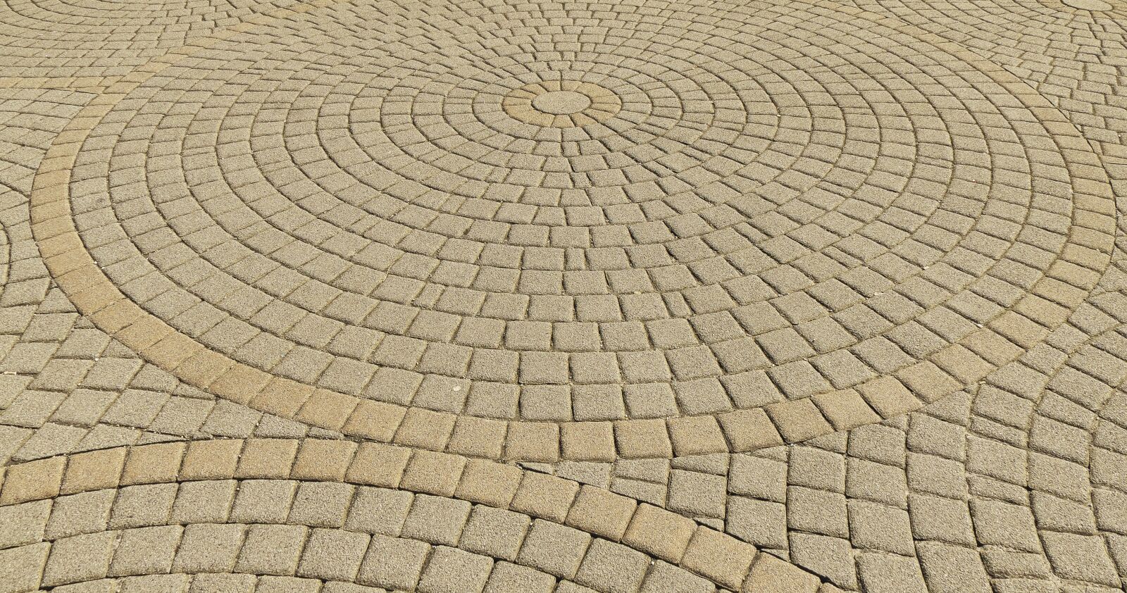 Panasonic Lumix DMC-FZ1000 sample photo. Patch, paving stones, circle photography